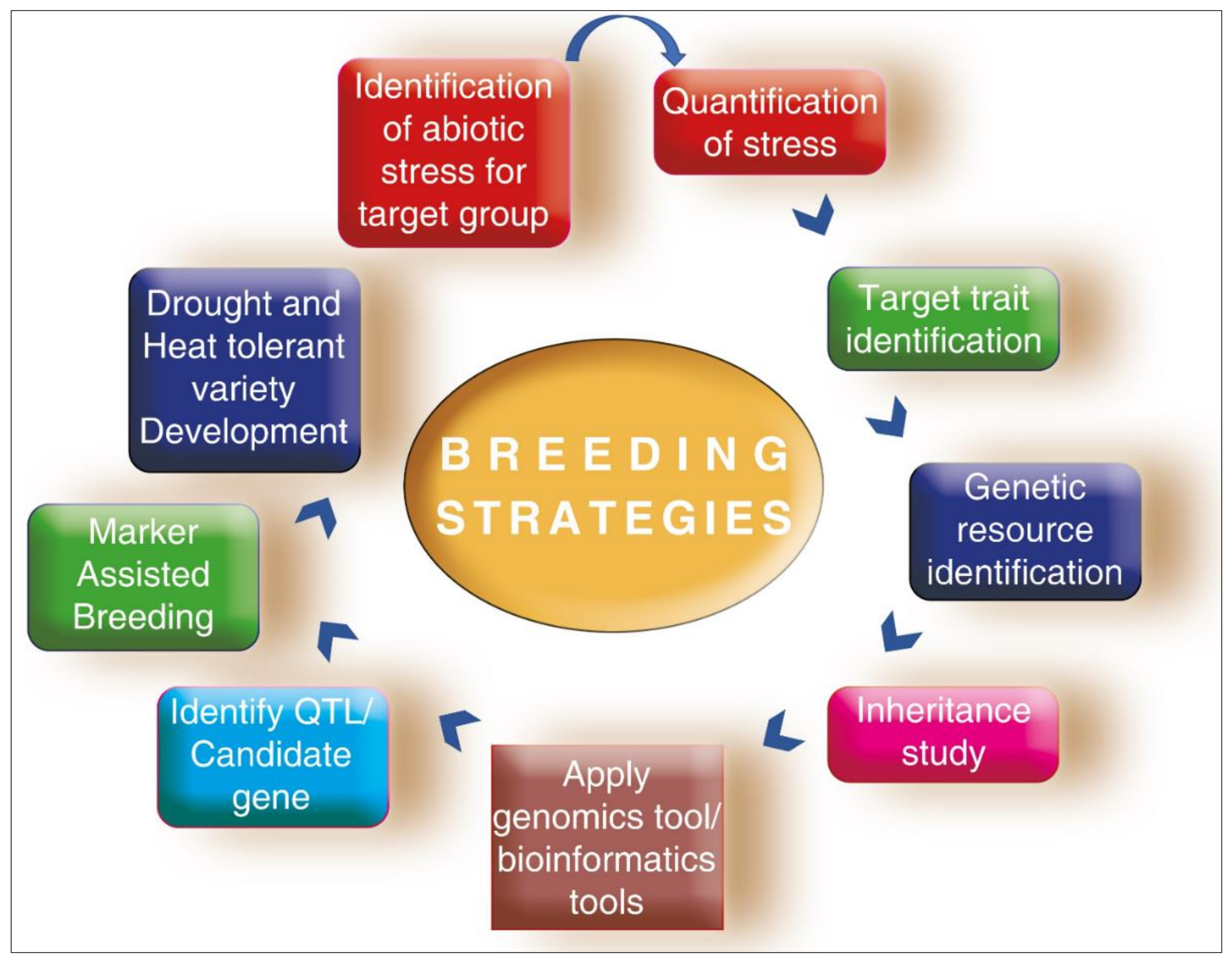 Plants 10 01038 g001