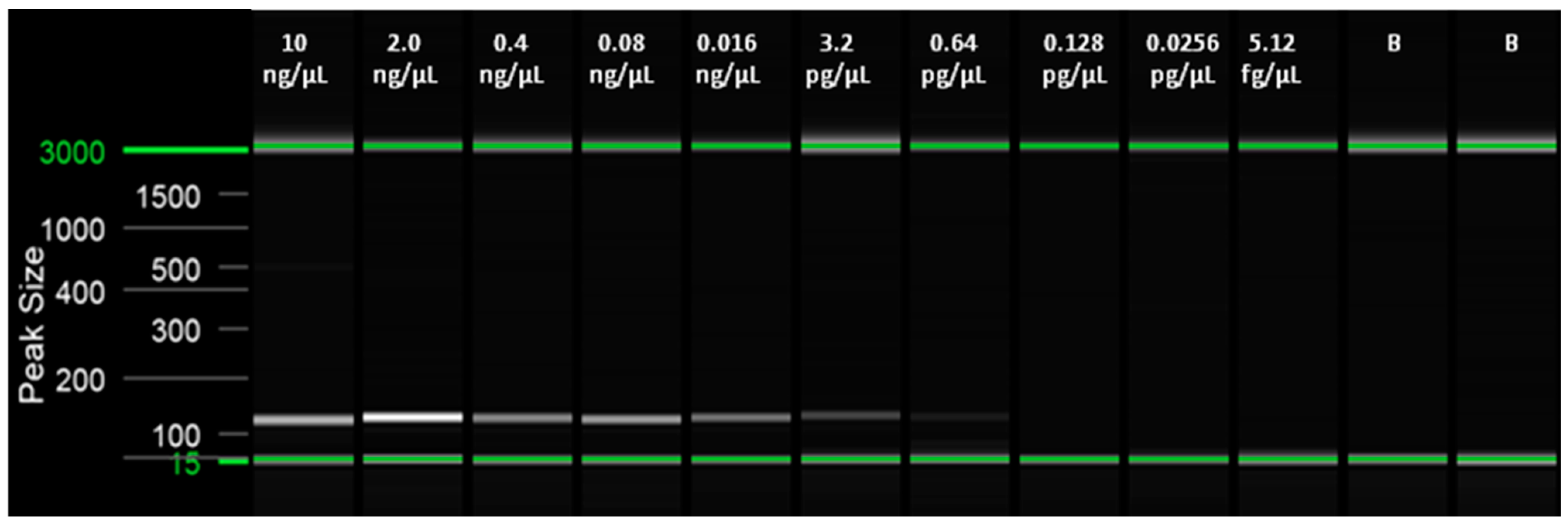 Plants 10 01048 g002