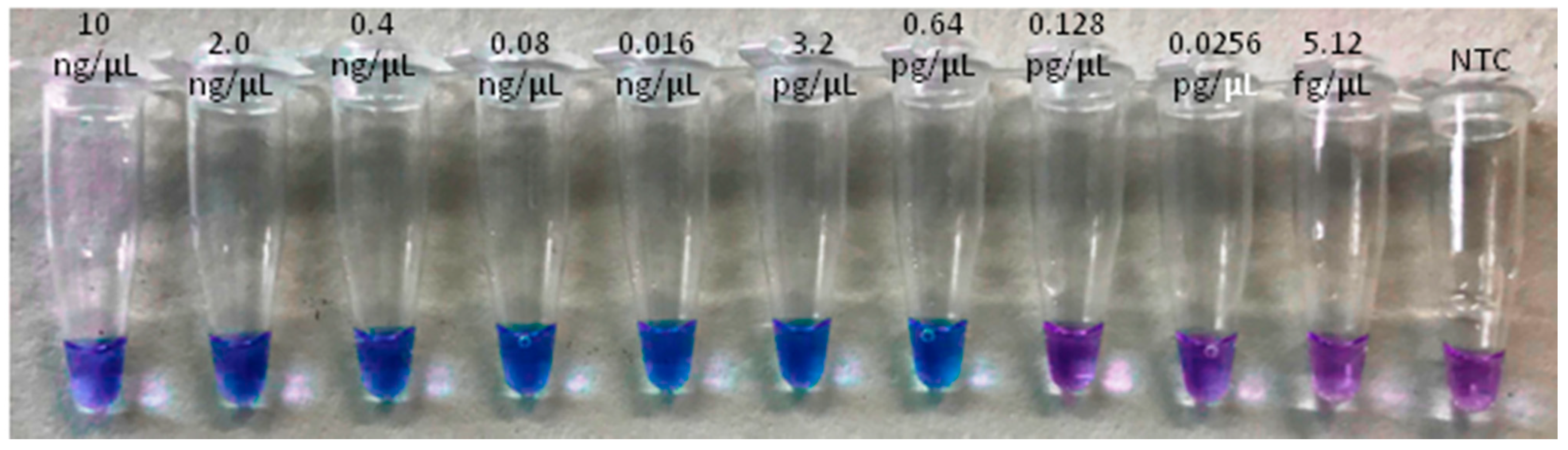 Plants 10 01048 g003