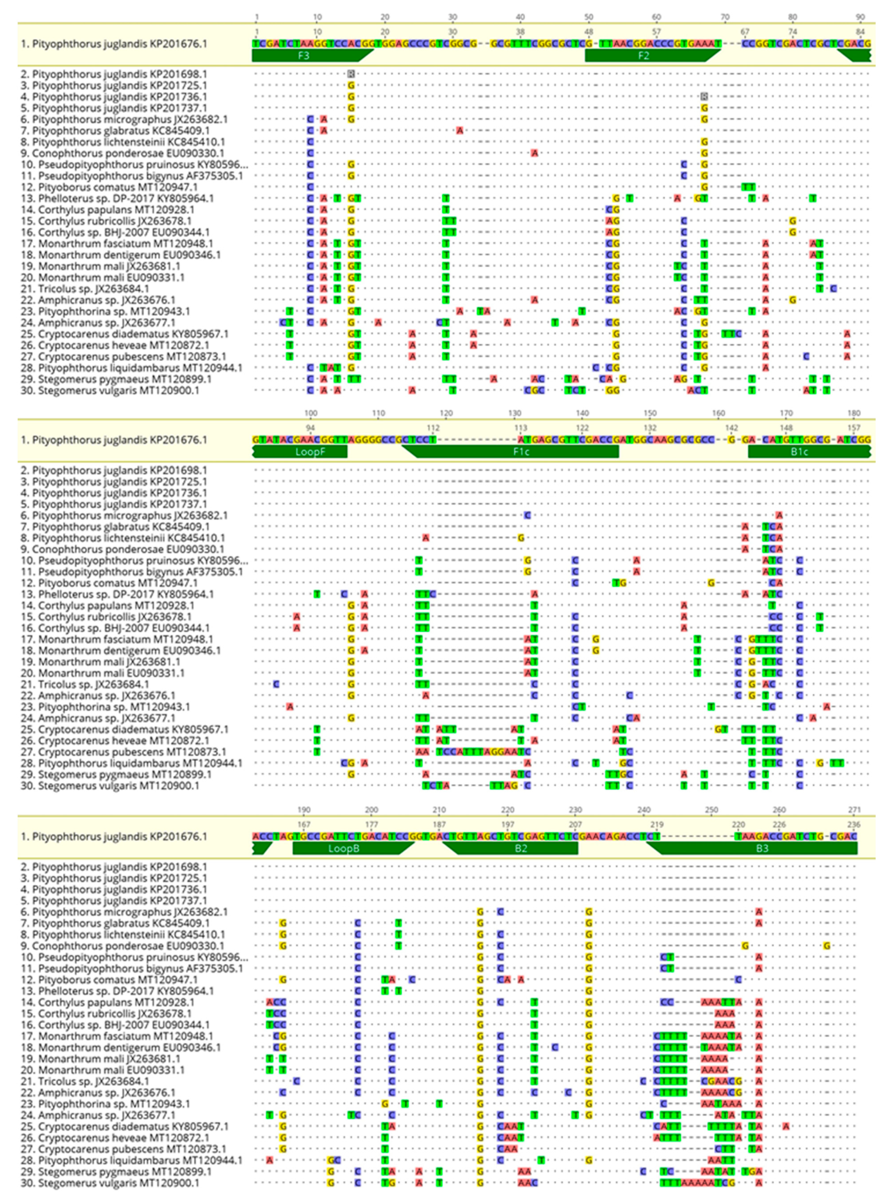 Plants 10 01048 g008