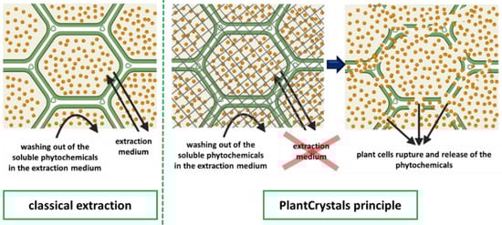 Plants 10 01051 g002