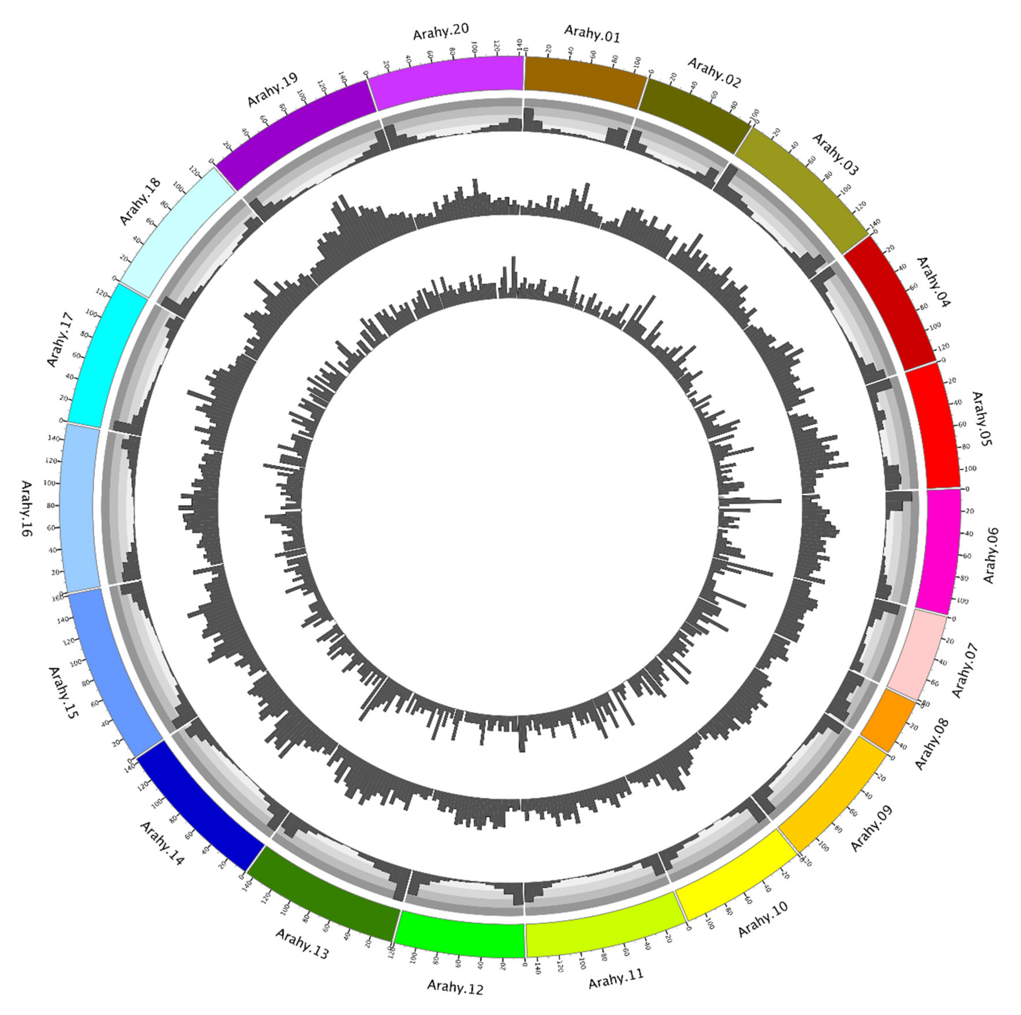 Plants 10 01058 g001