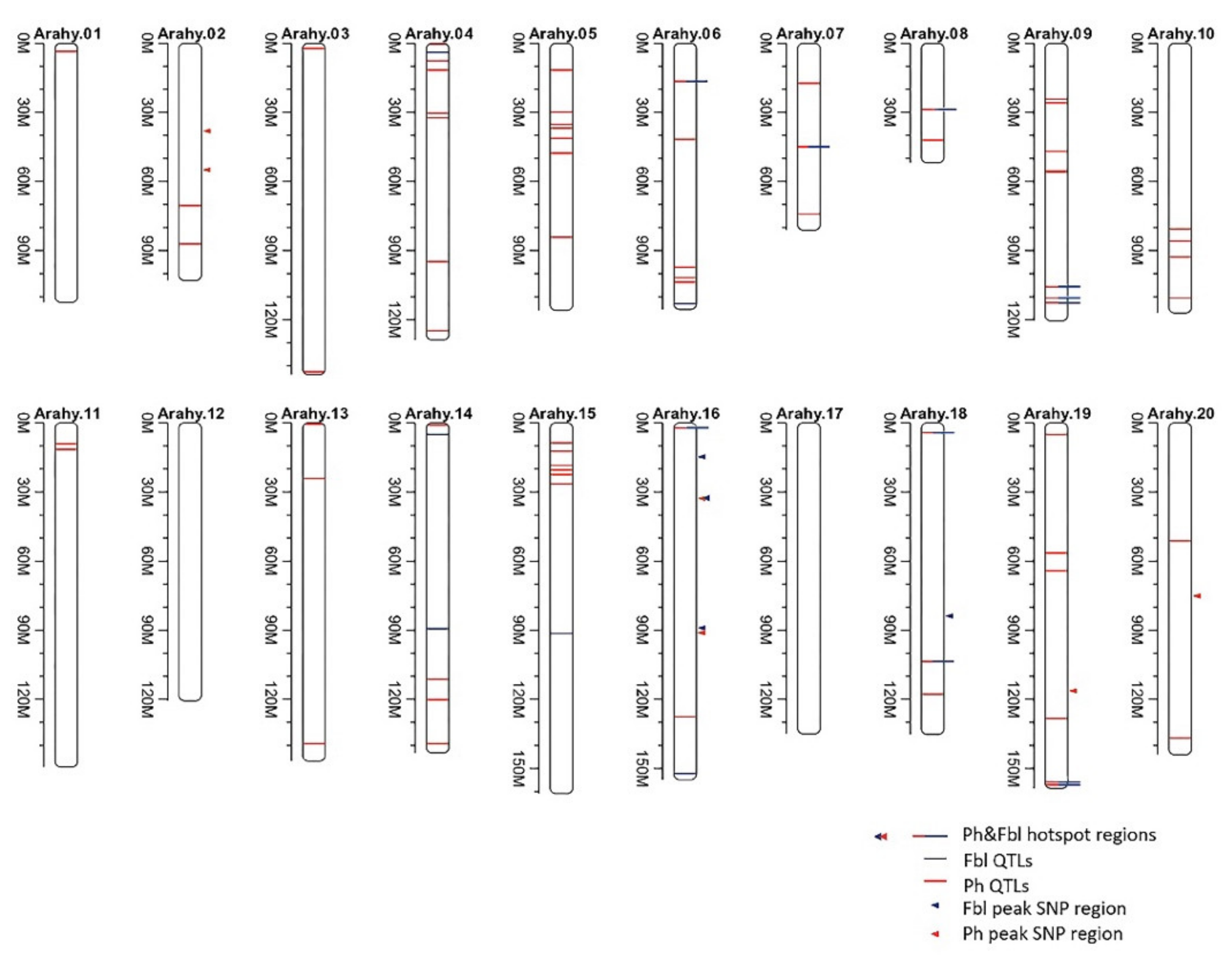 Plants 10 01058 g002