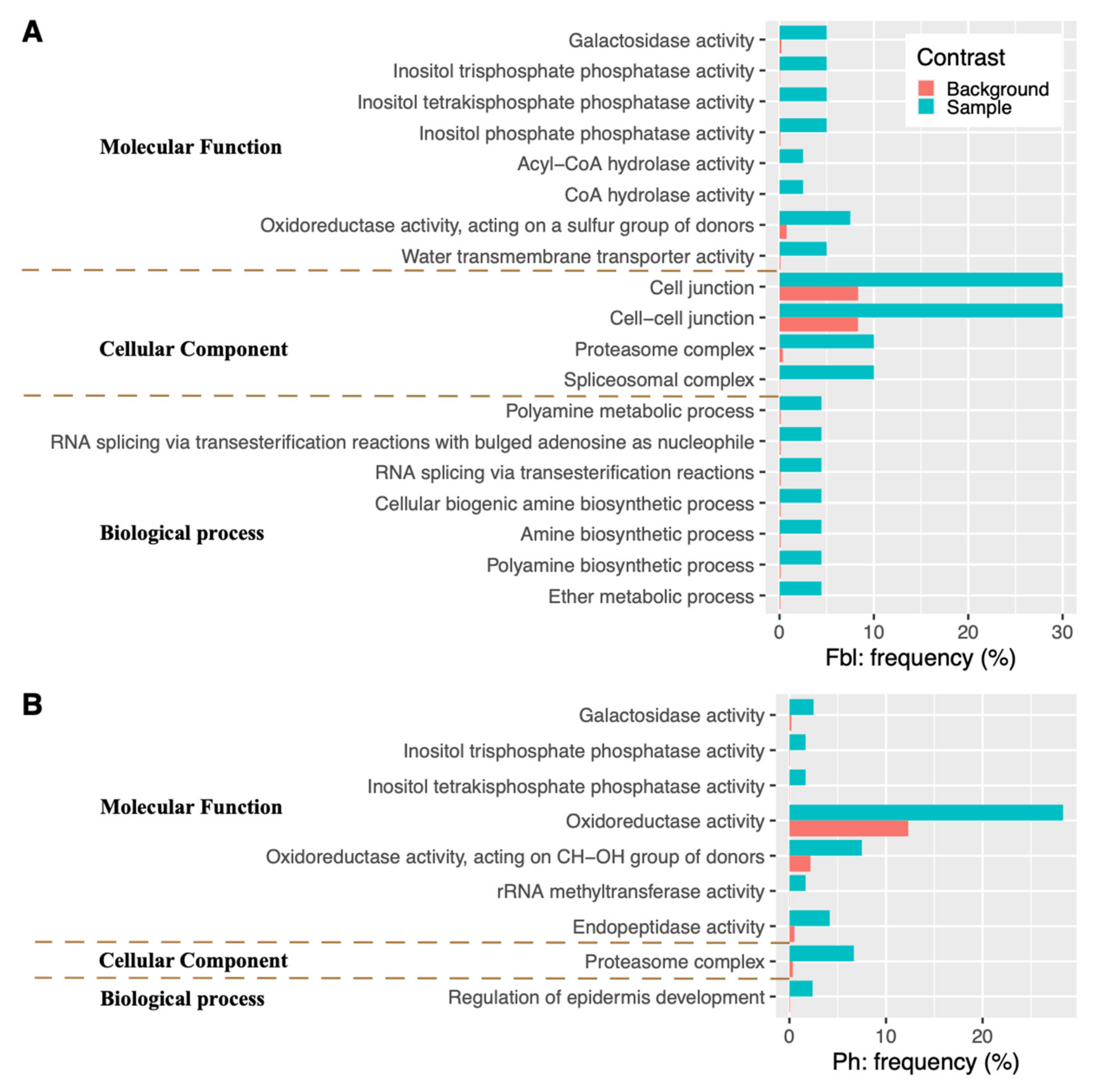 Plants 10 01058 g004