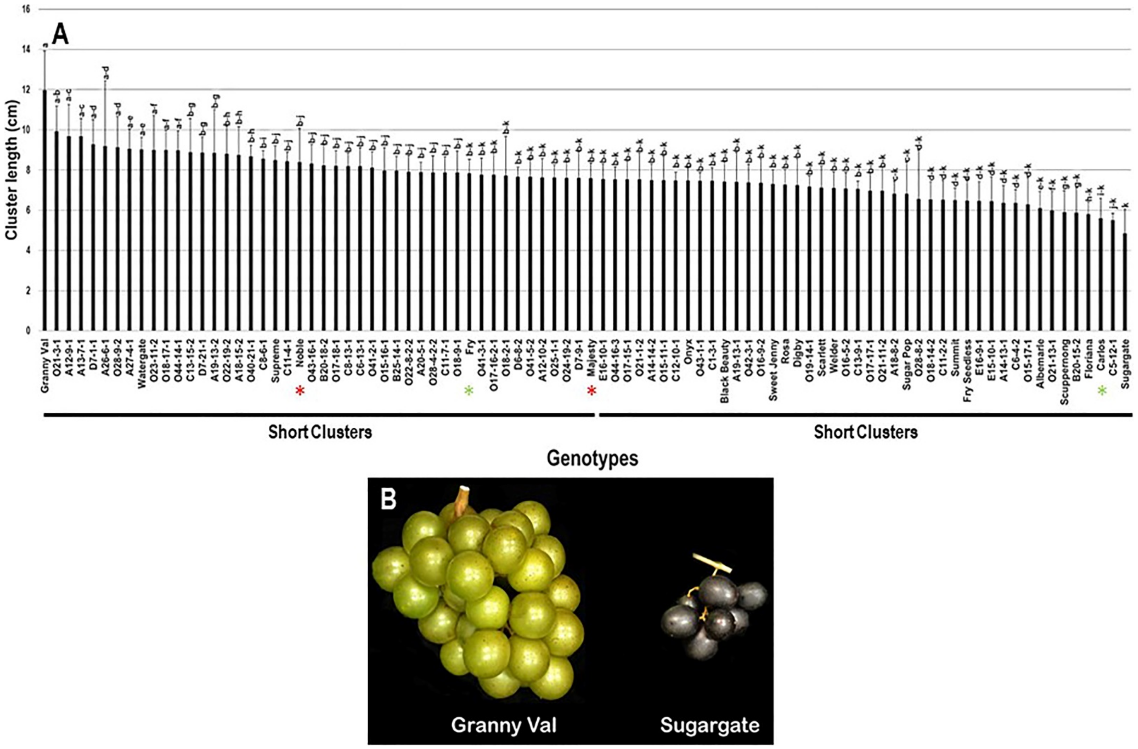 Plants 10 01067 g002 Plants 10 01067 g002