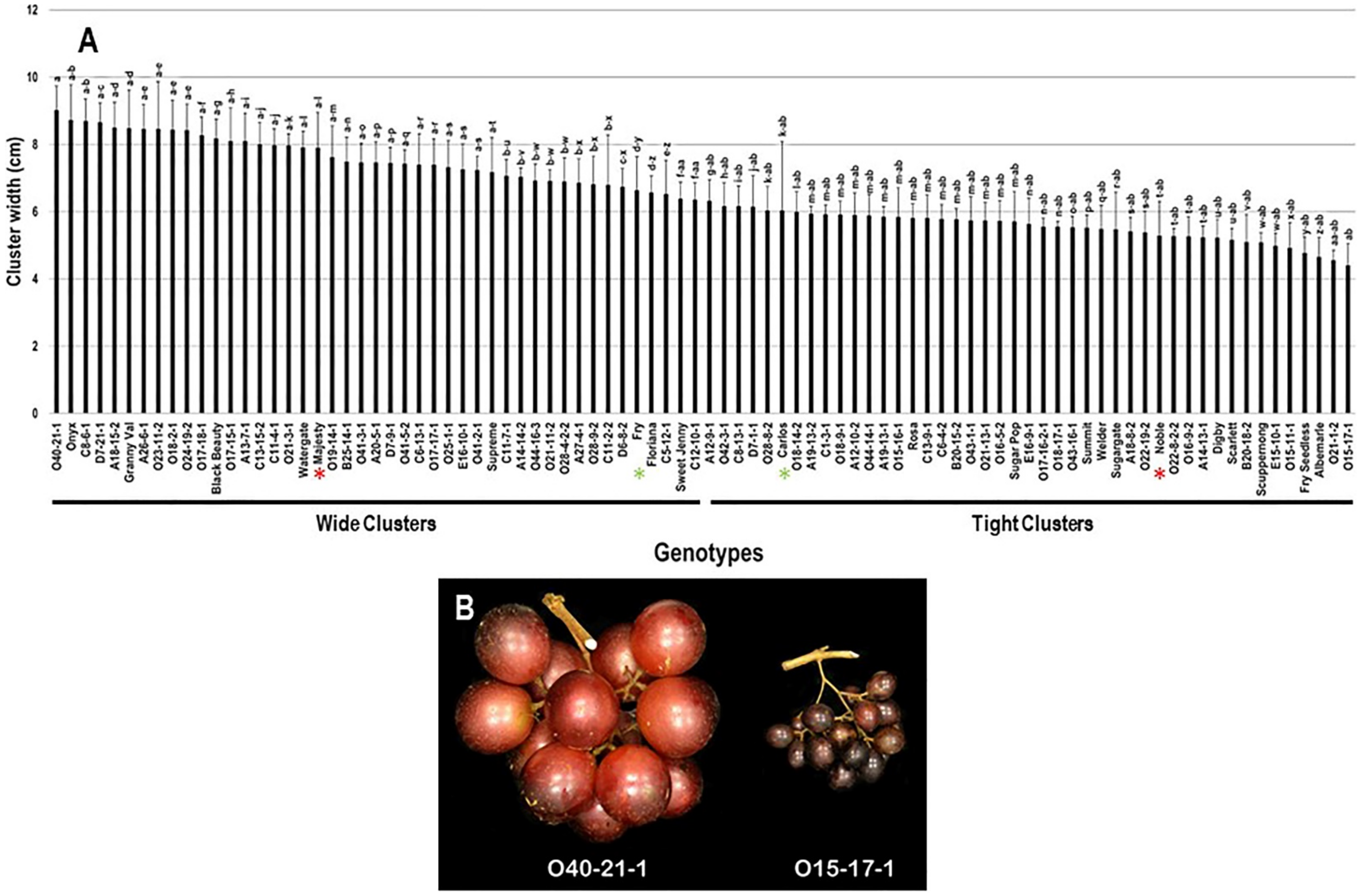 Plants 10 01067 g003 Plants 10 01067 g003