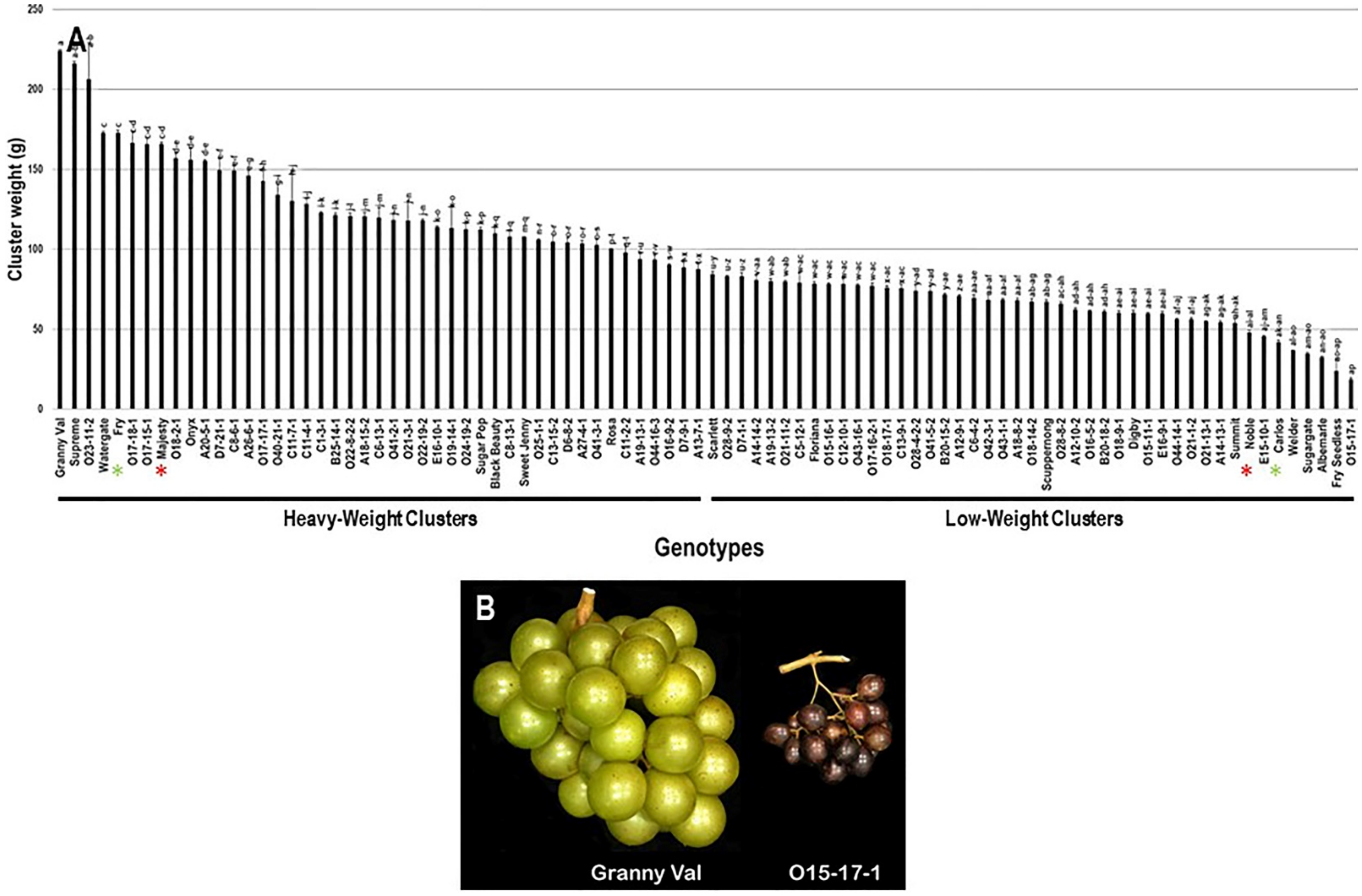 Plants 10 01067 g004 Plants 10 01067 g004