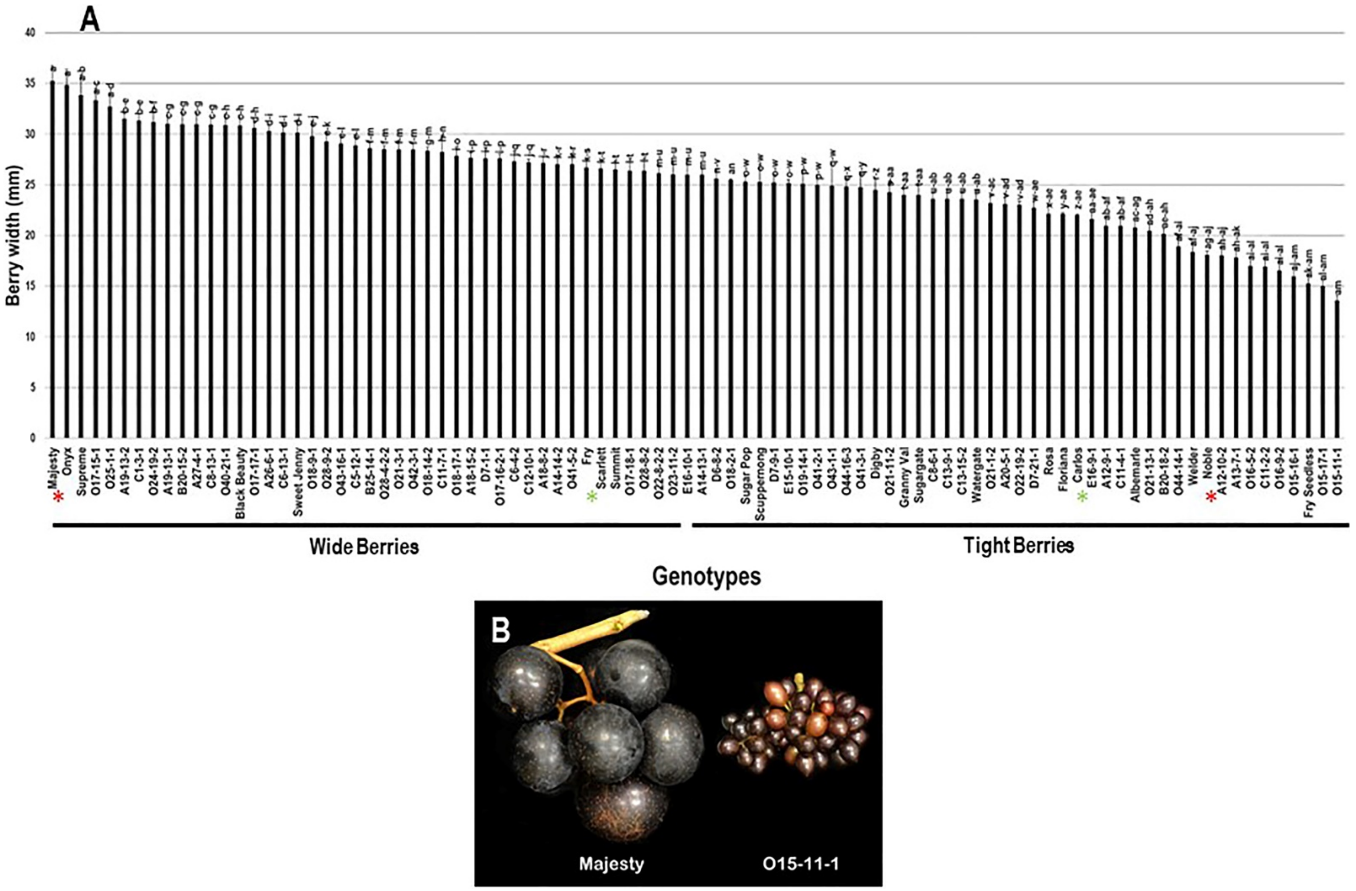 Plants 10 01067 g010 Plants 10 01067 g010