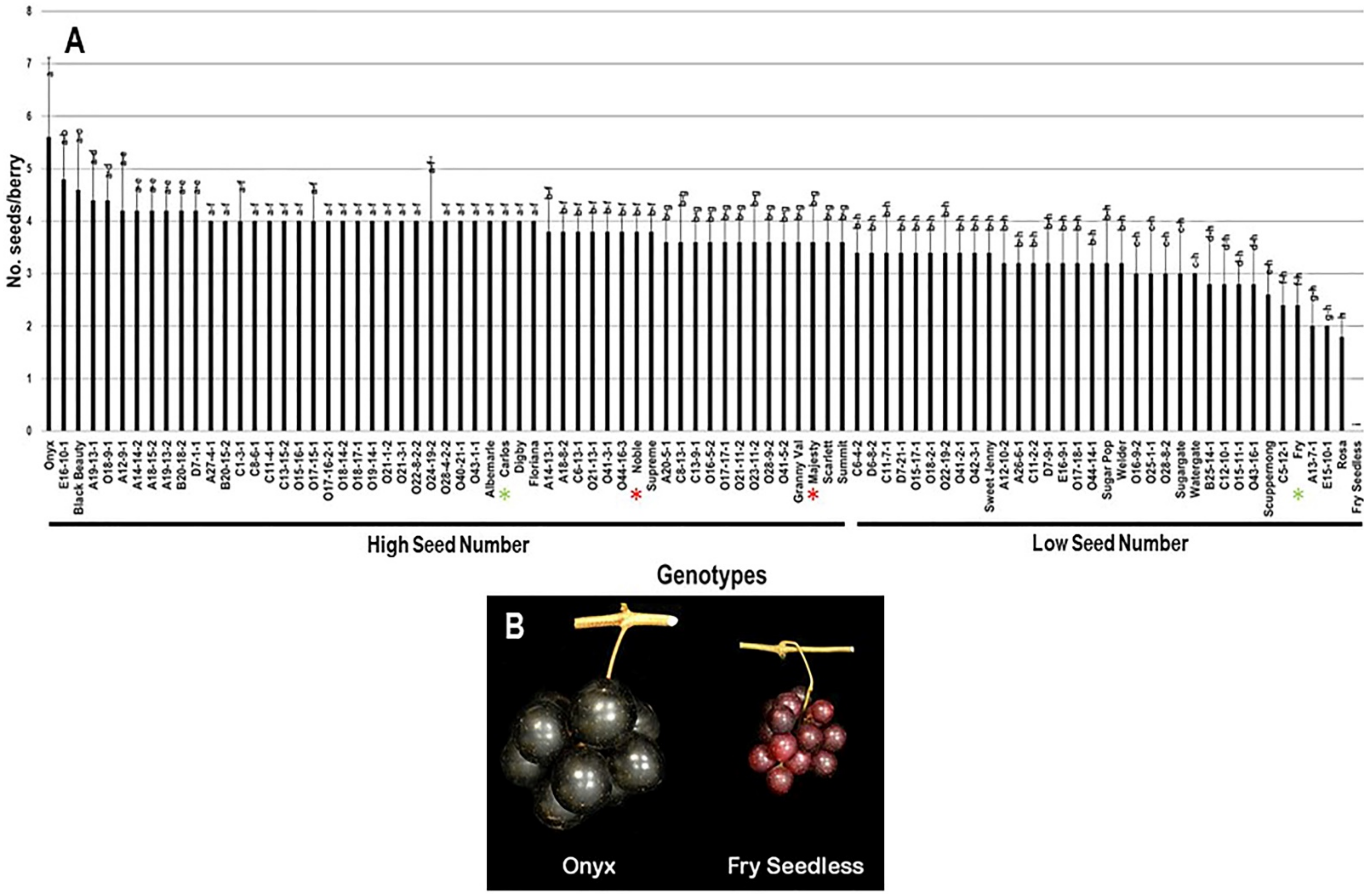 Plants 10 01067 g012 Plants 10 01067 g012