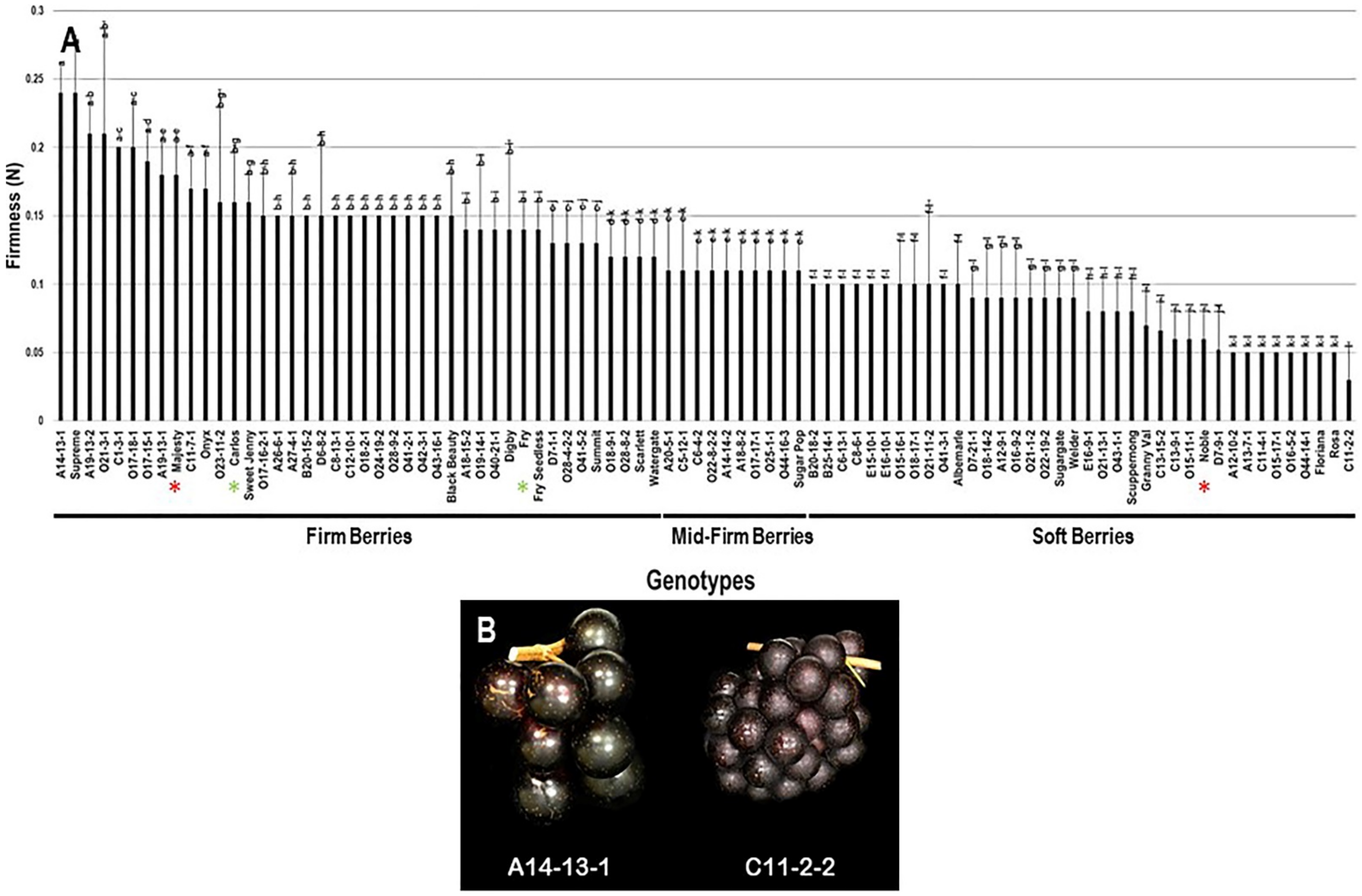 Plants 10 01067 g014 Plants 10 01067 g014