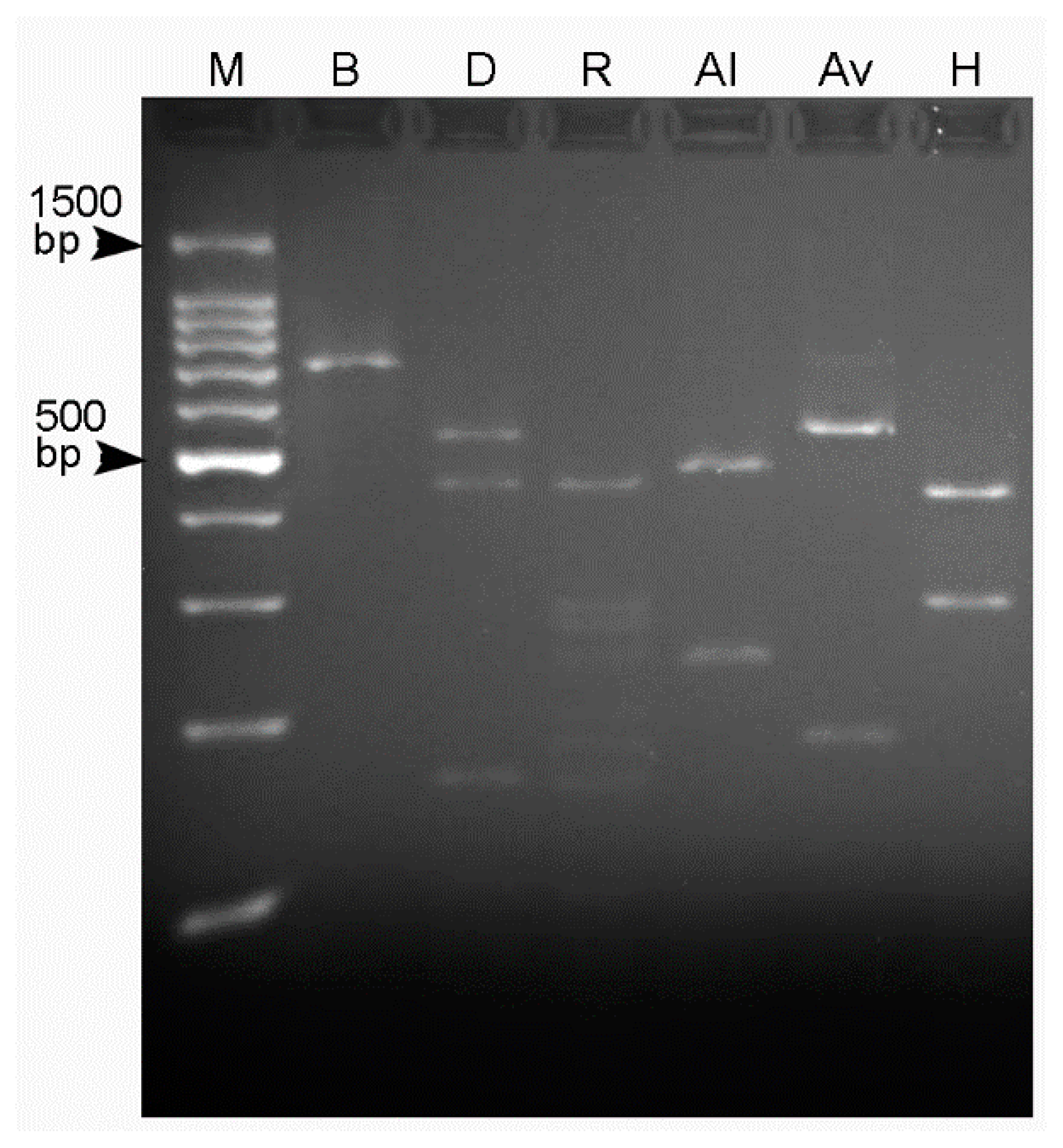 Plants 10 01068 g001 Plants 10 01068 g001