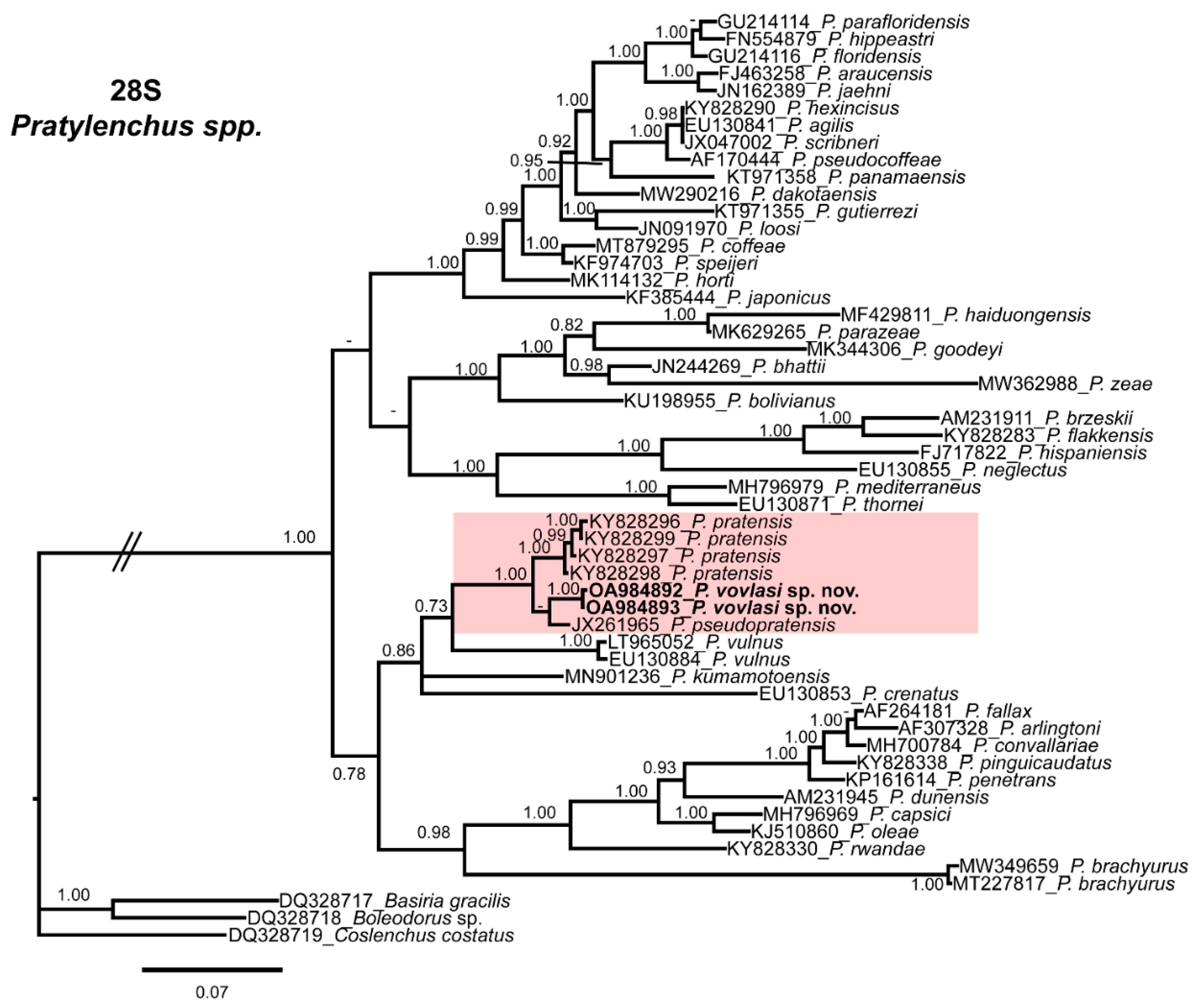 Plants 10 01068 g002 Plants 10 01068 g002