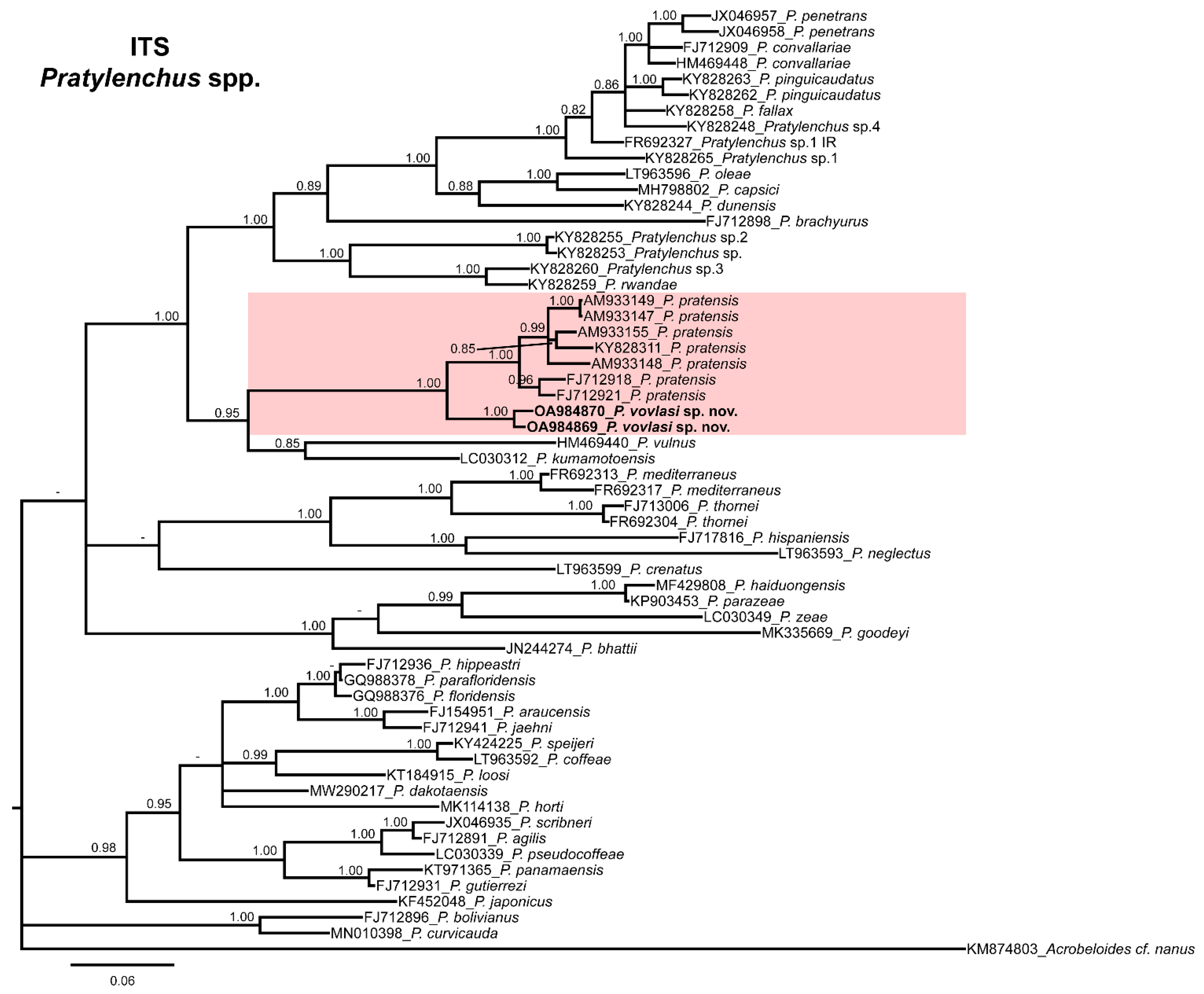 Plants 10 01068 g003 Plants 10 01068 g003