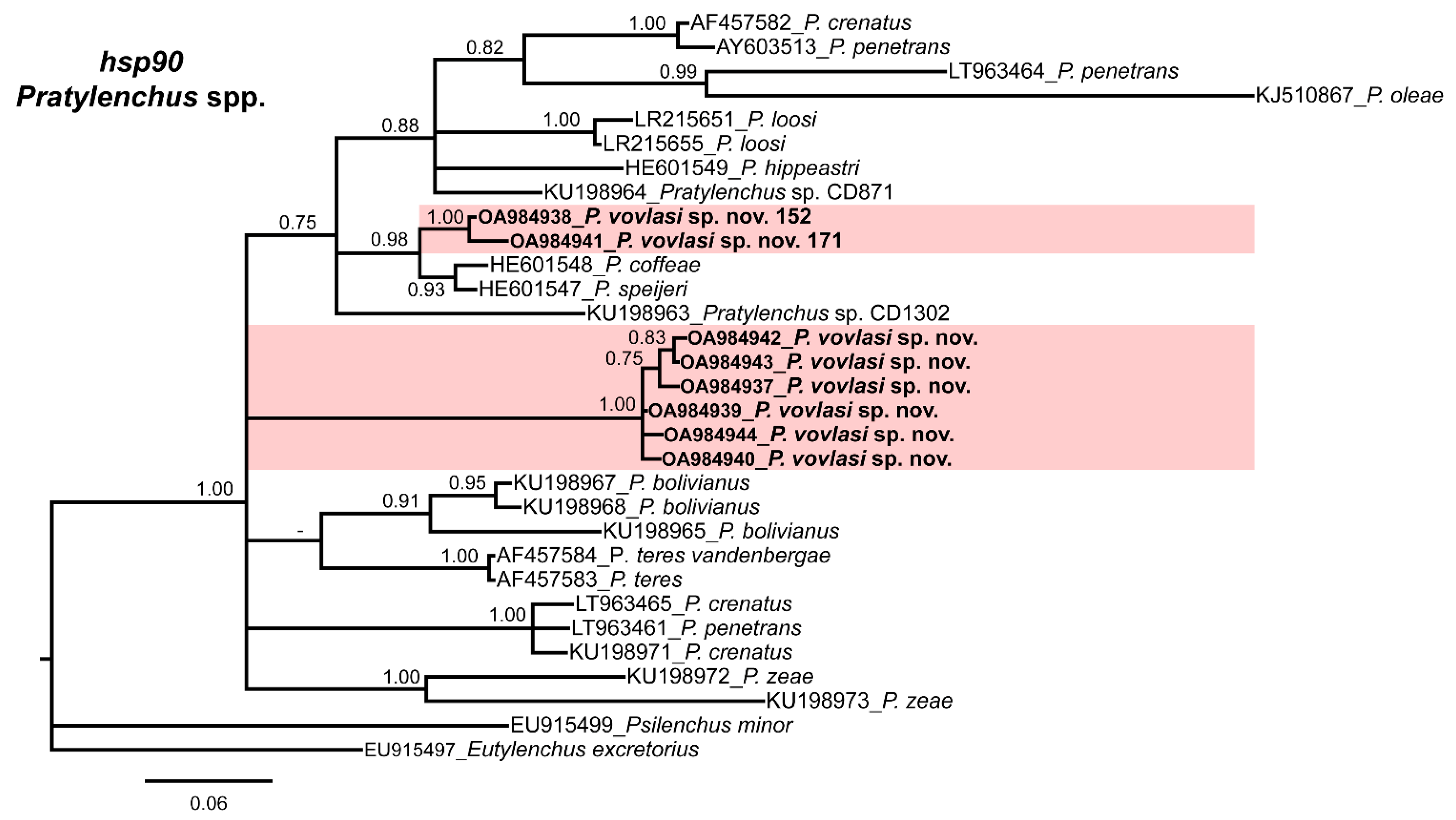 Plants 10 01068 g004 Plants 10 01068 g004