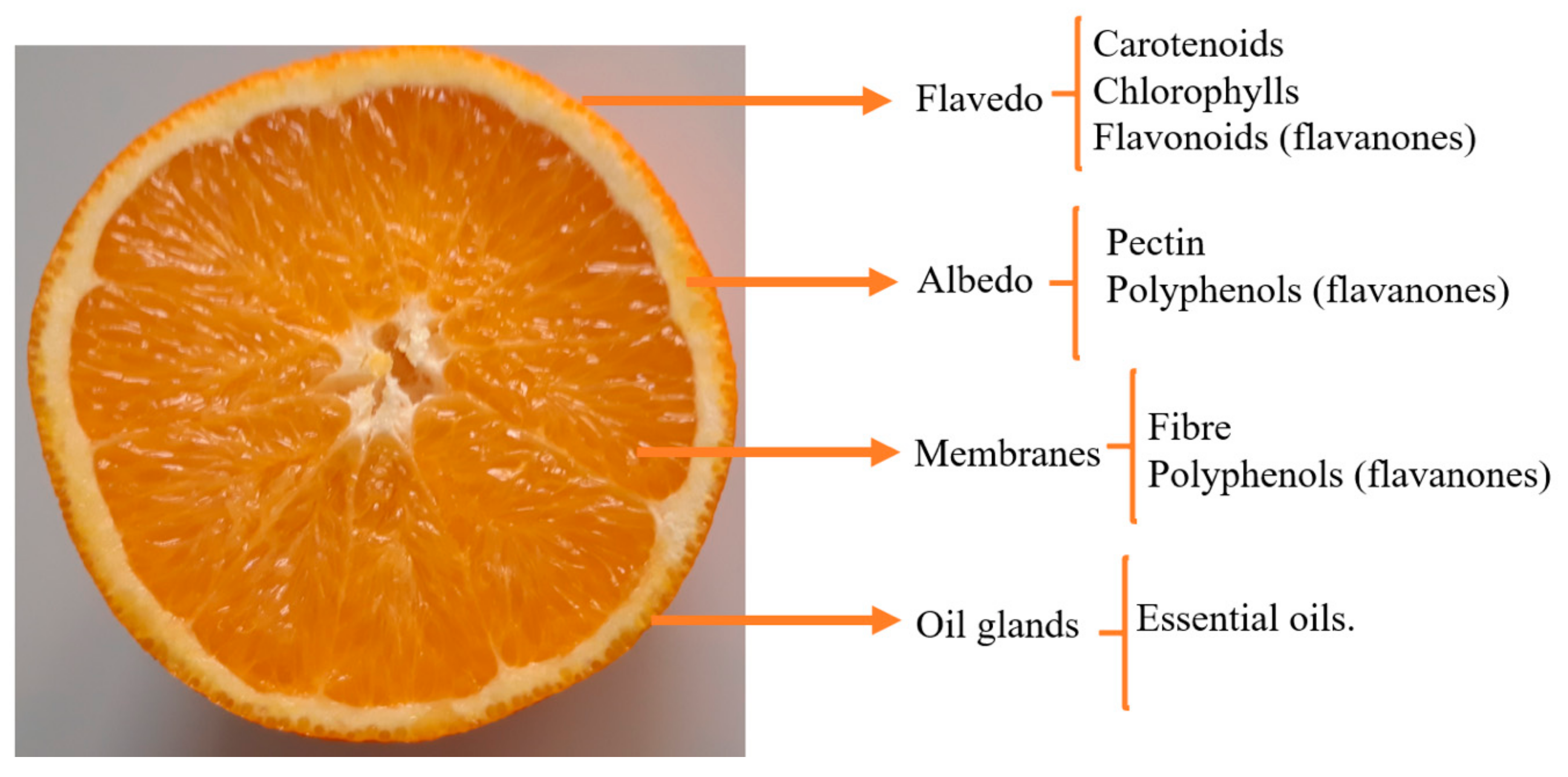 Plants 10 01069 g001 Plants 10 01069 g001