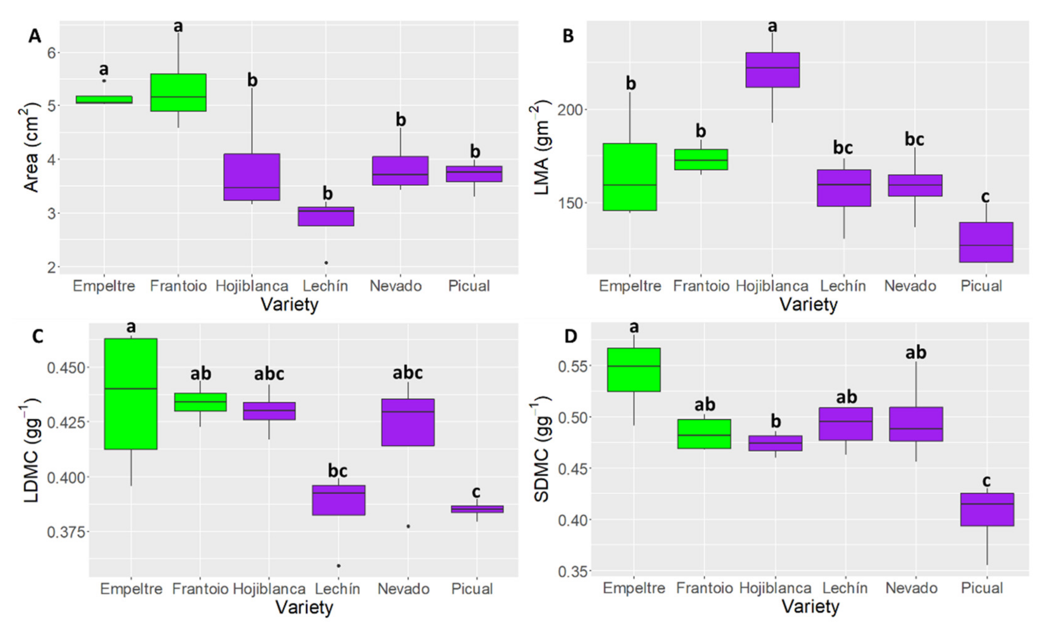 Plants 10 01079 g001
