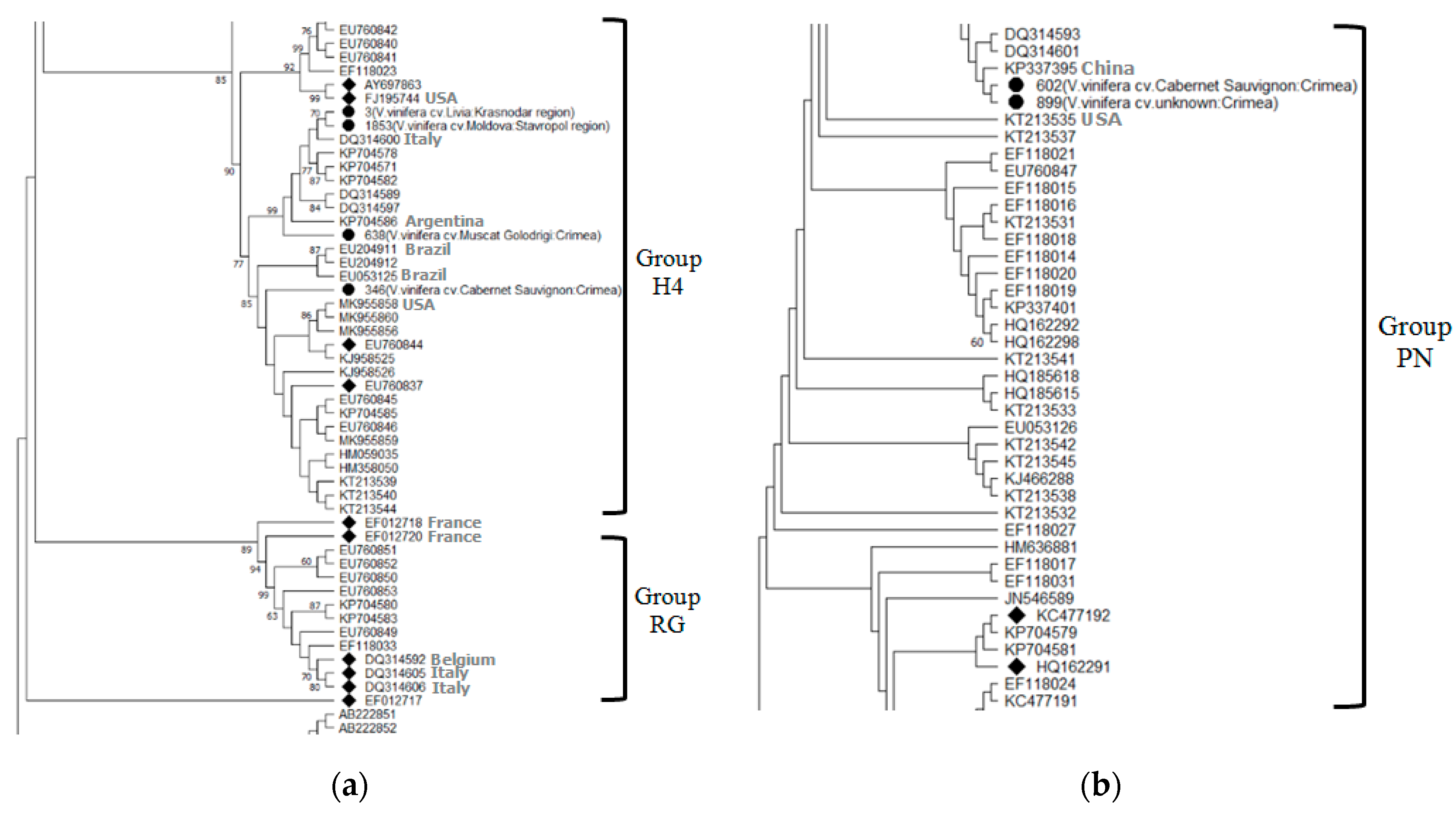 Plants 10 01080 g004