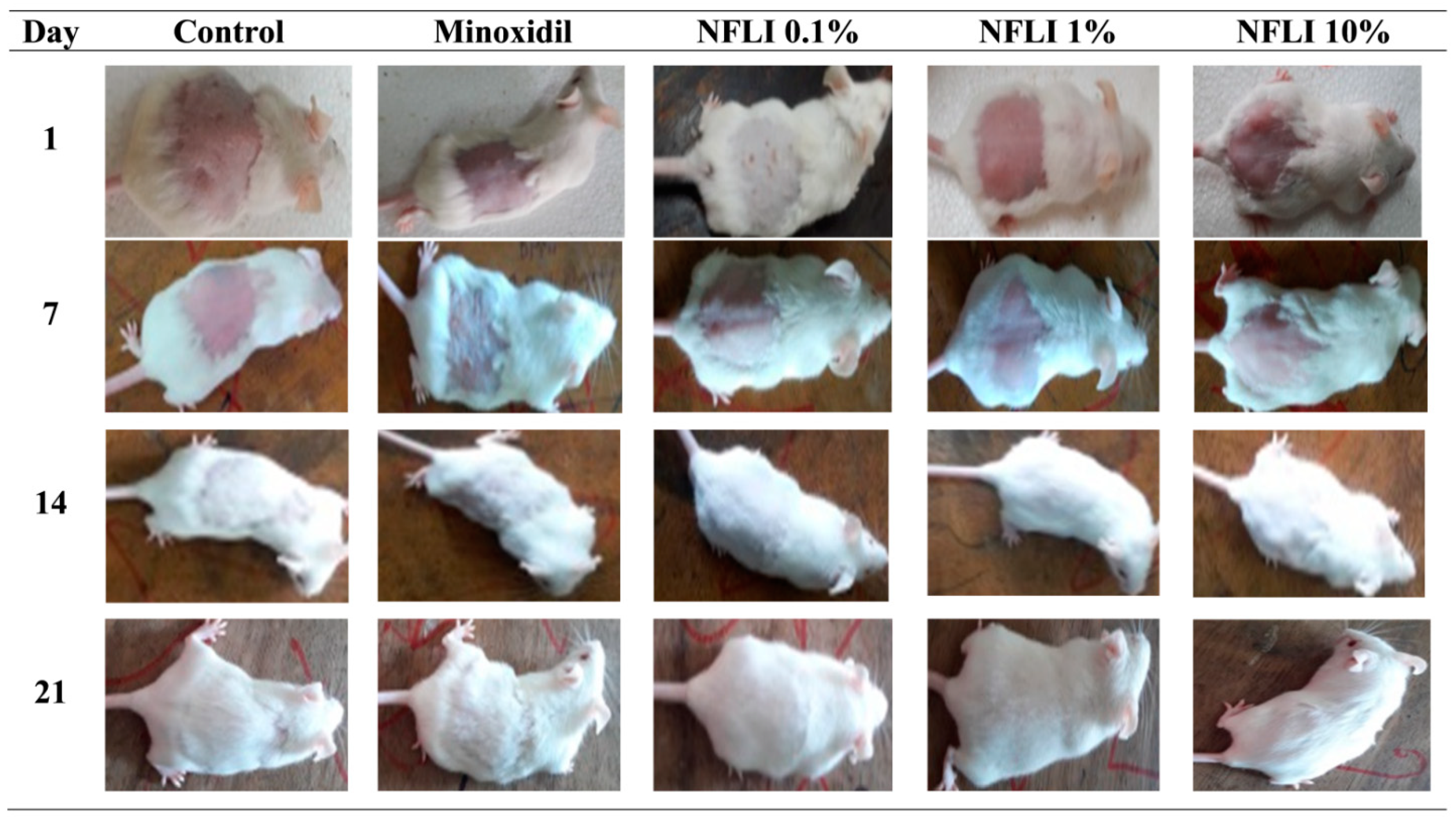 Plants 10 01081 g004