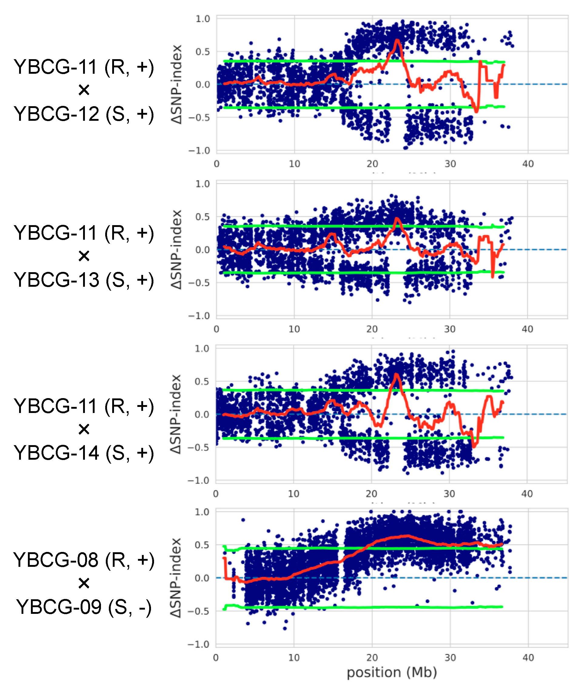 Plants 10 01082 g001