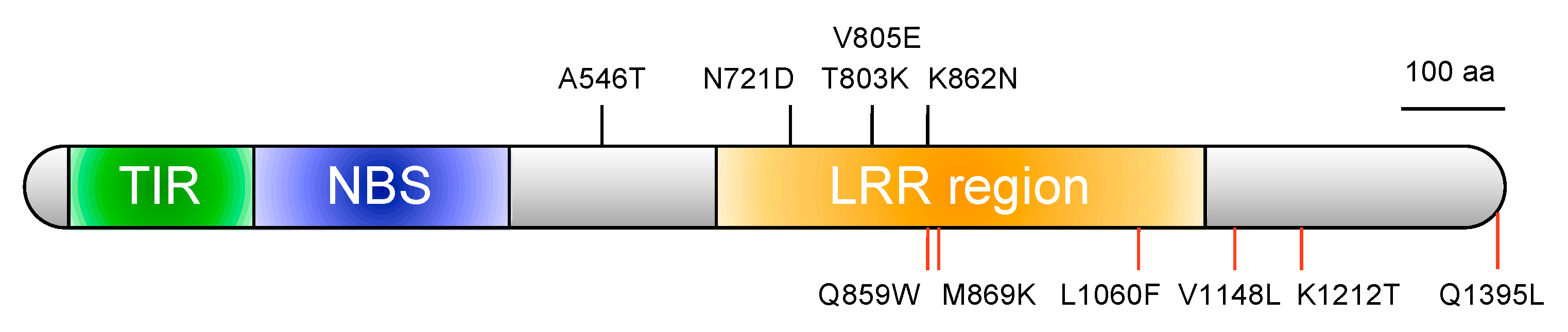 Plants 10 01082 g003
