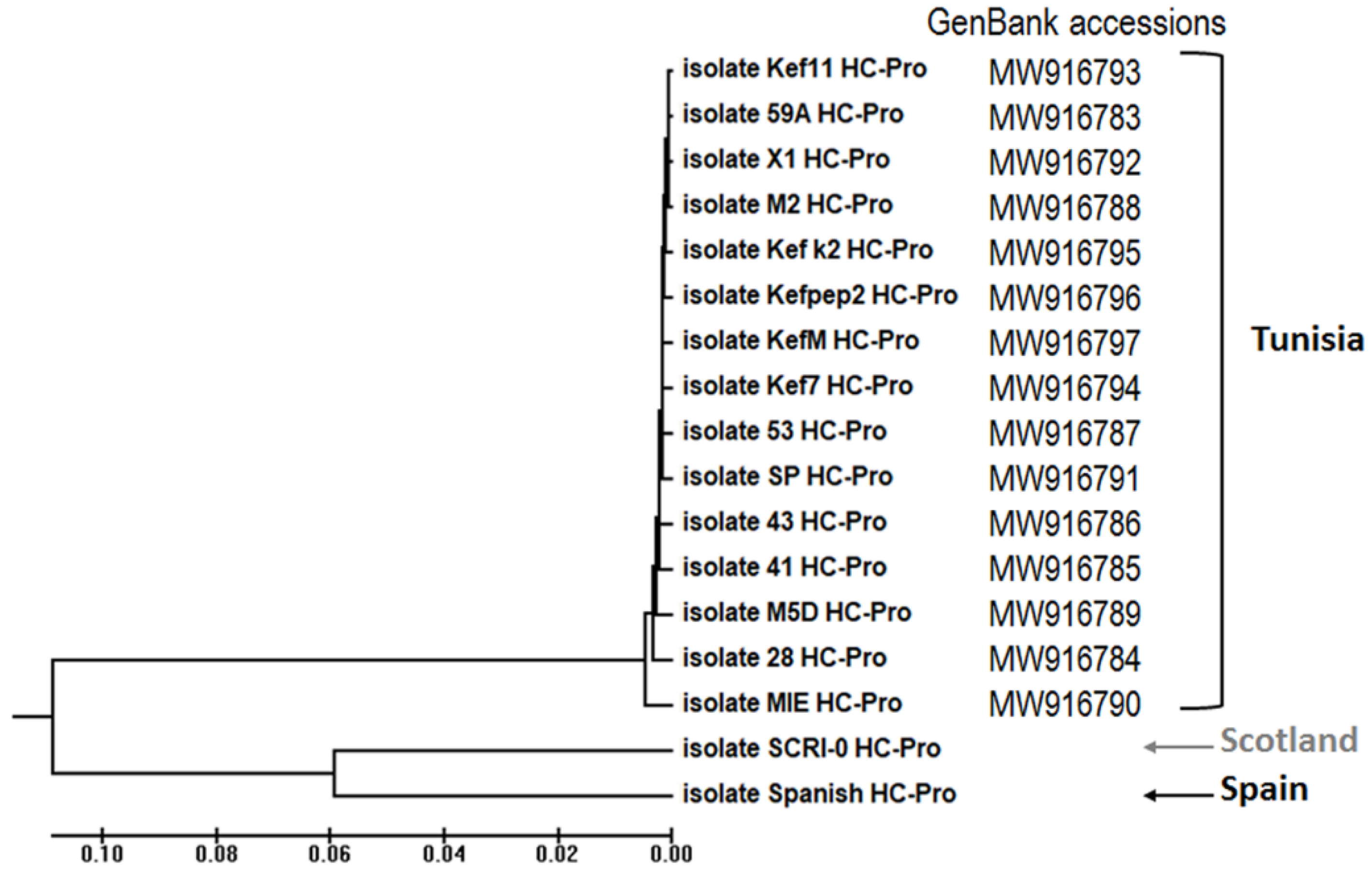 Plants 10 01086 g001