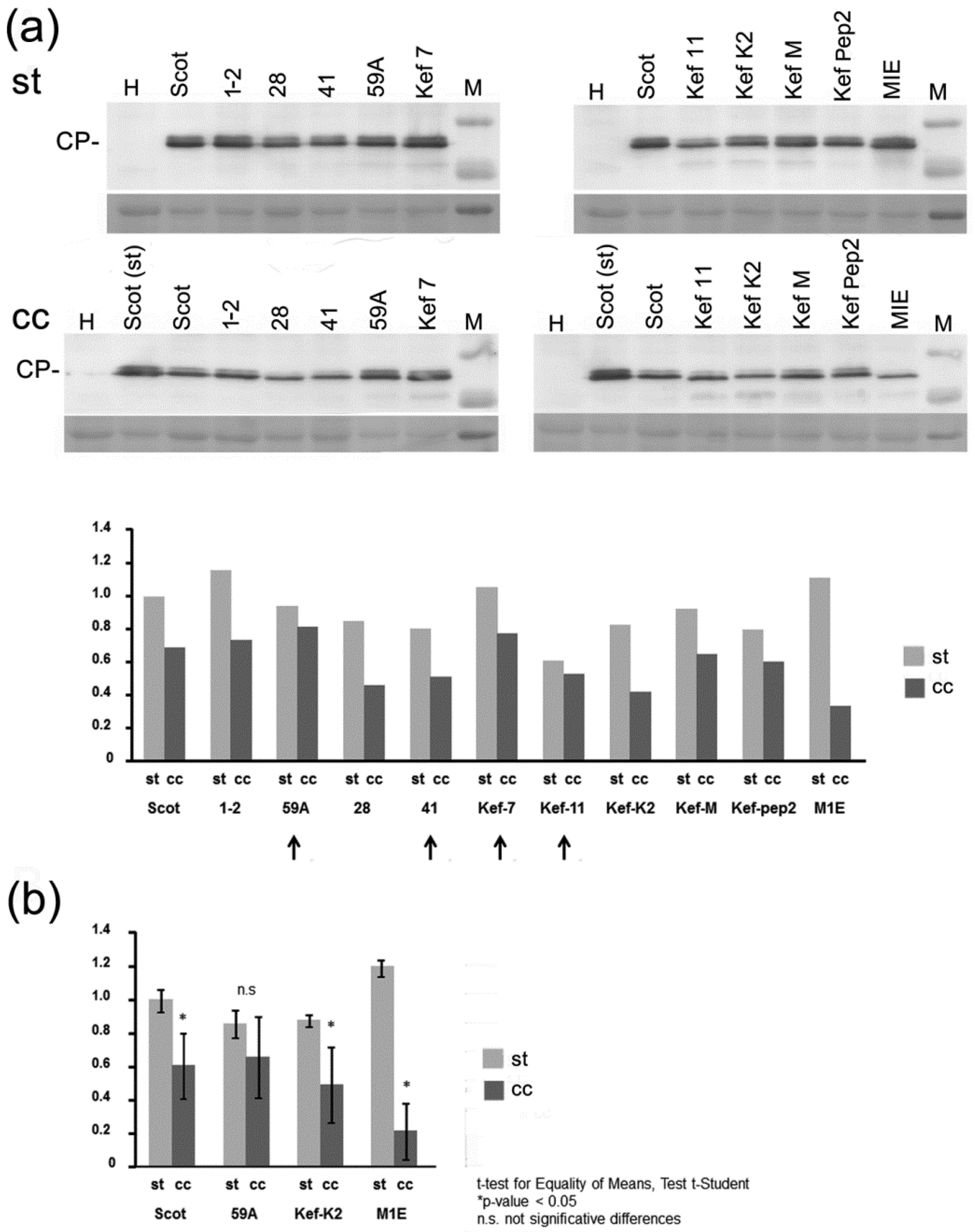 Plants 10 01086 g004