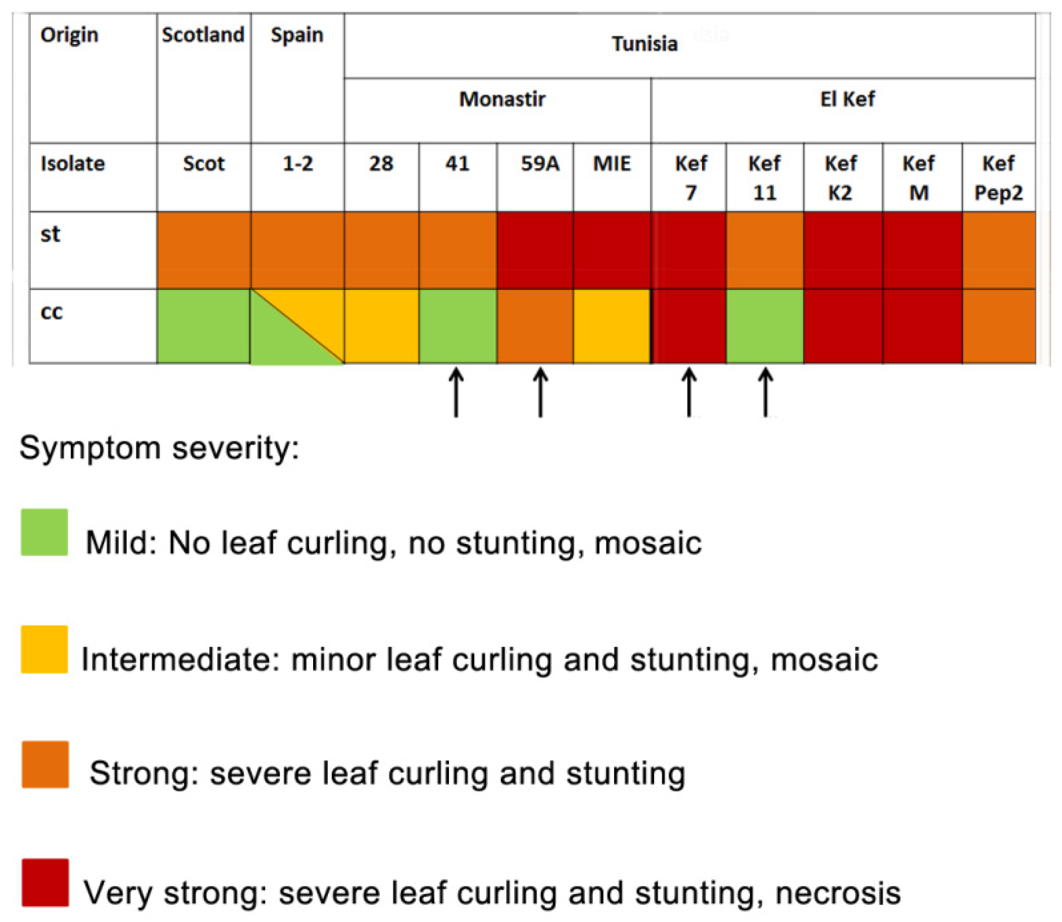 Plants 10 01086 g005