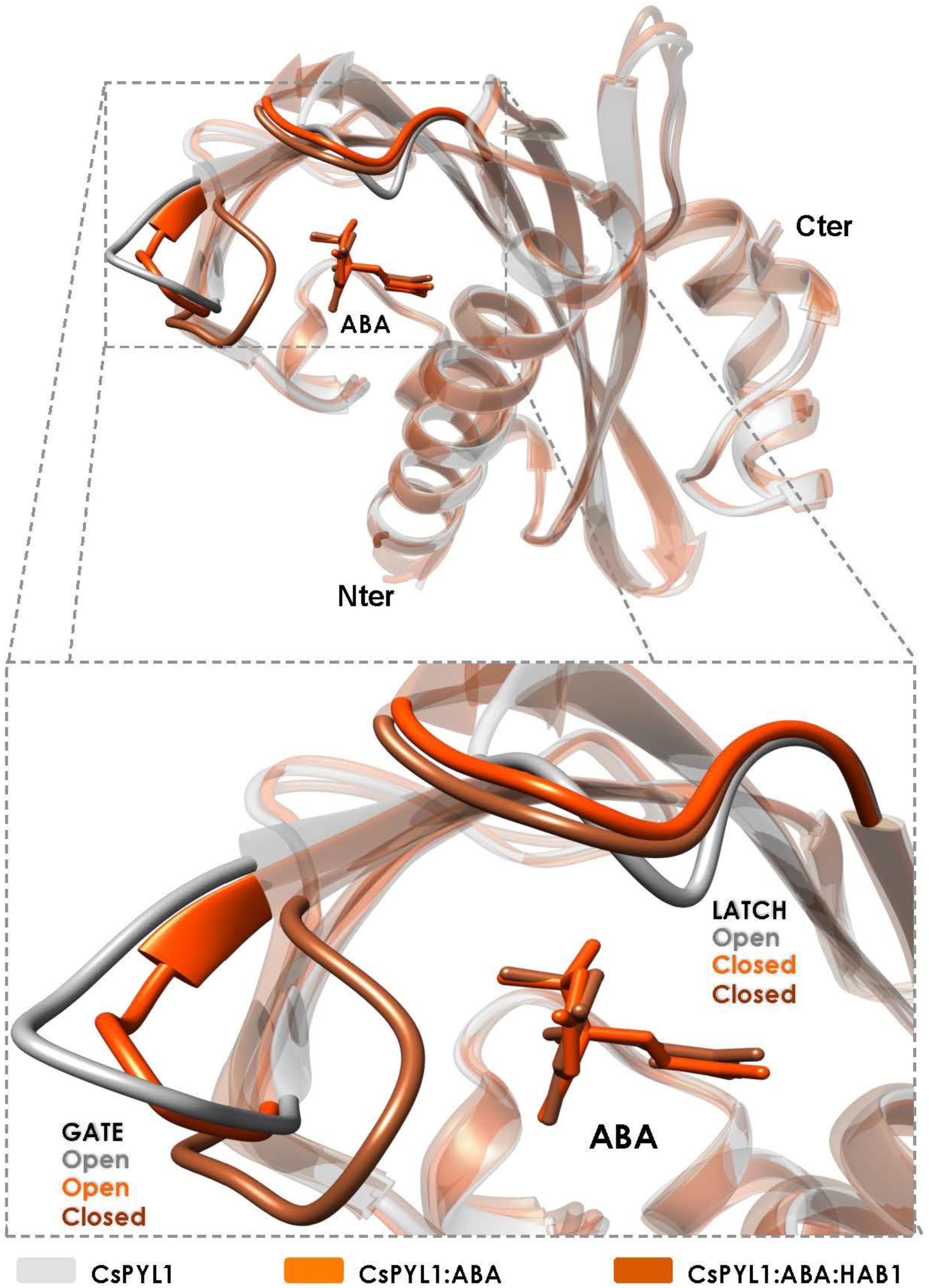 Plants 10 01087 g003 Plants 10 01087 g003