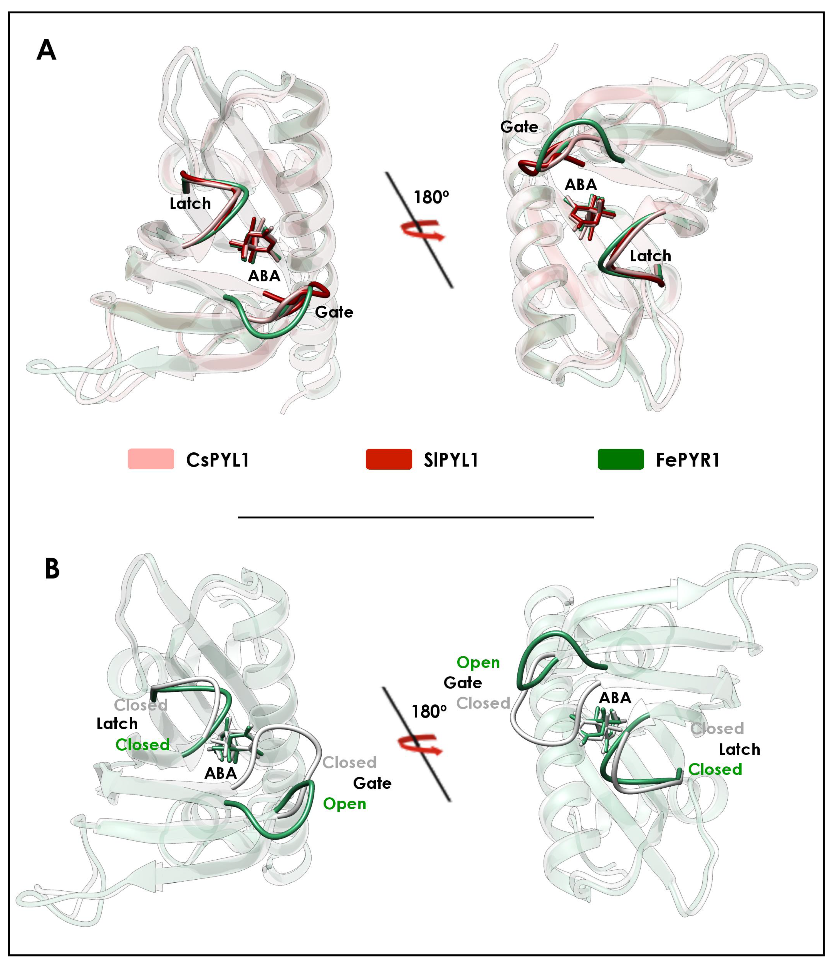 Plants 10 01087 g005 Plants 10 01087 g005