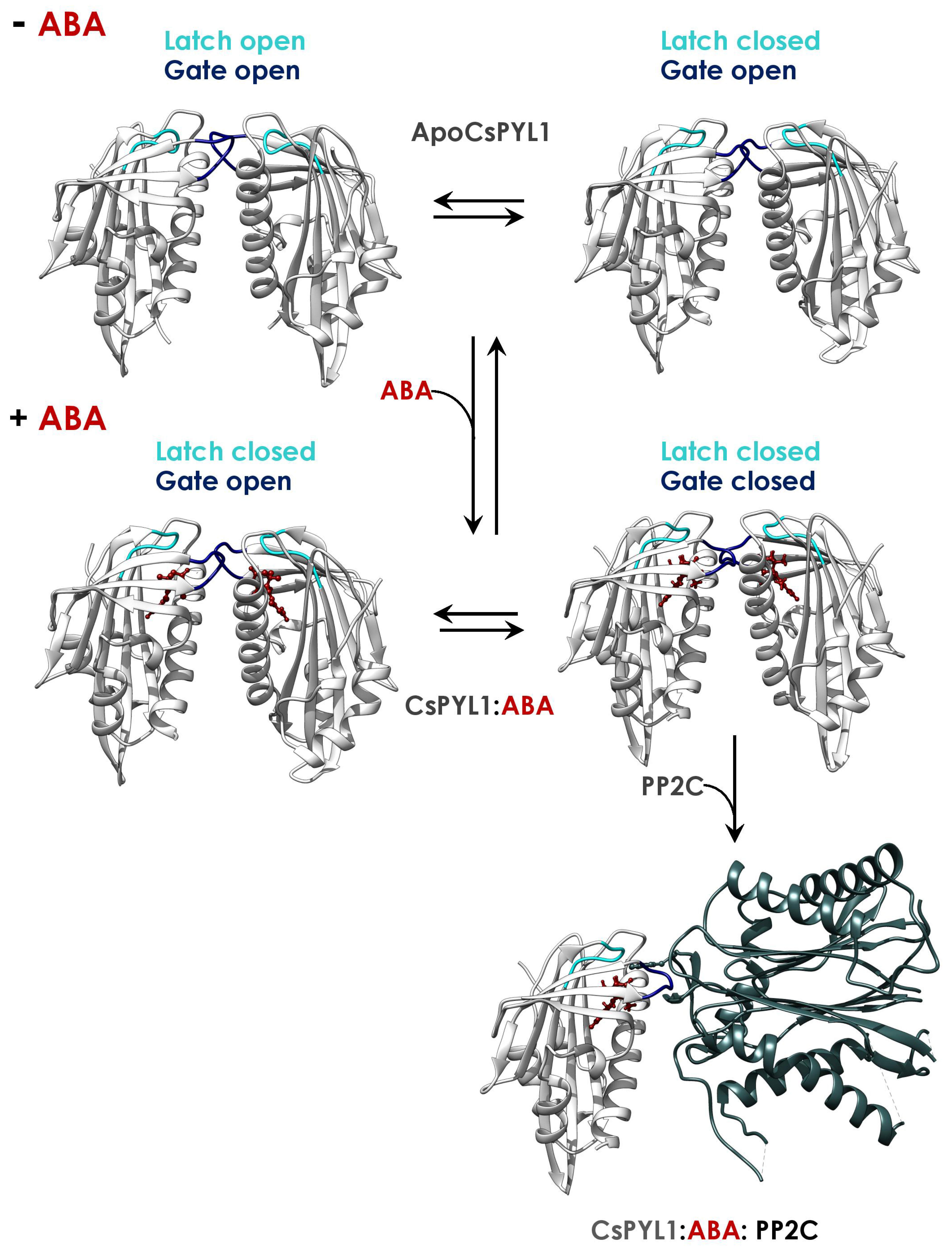 Plants 10 01087 g006 Plants 10 01087 g006
