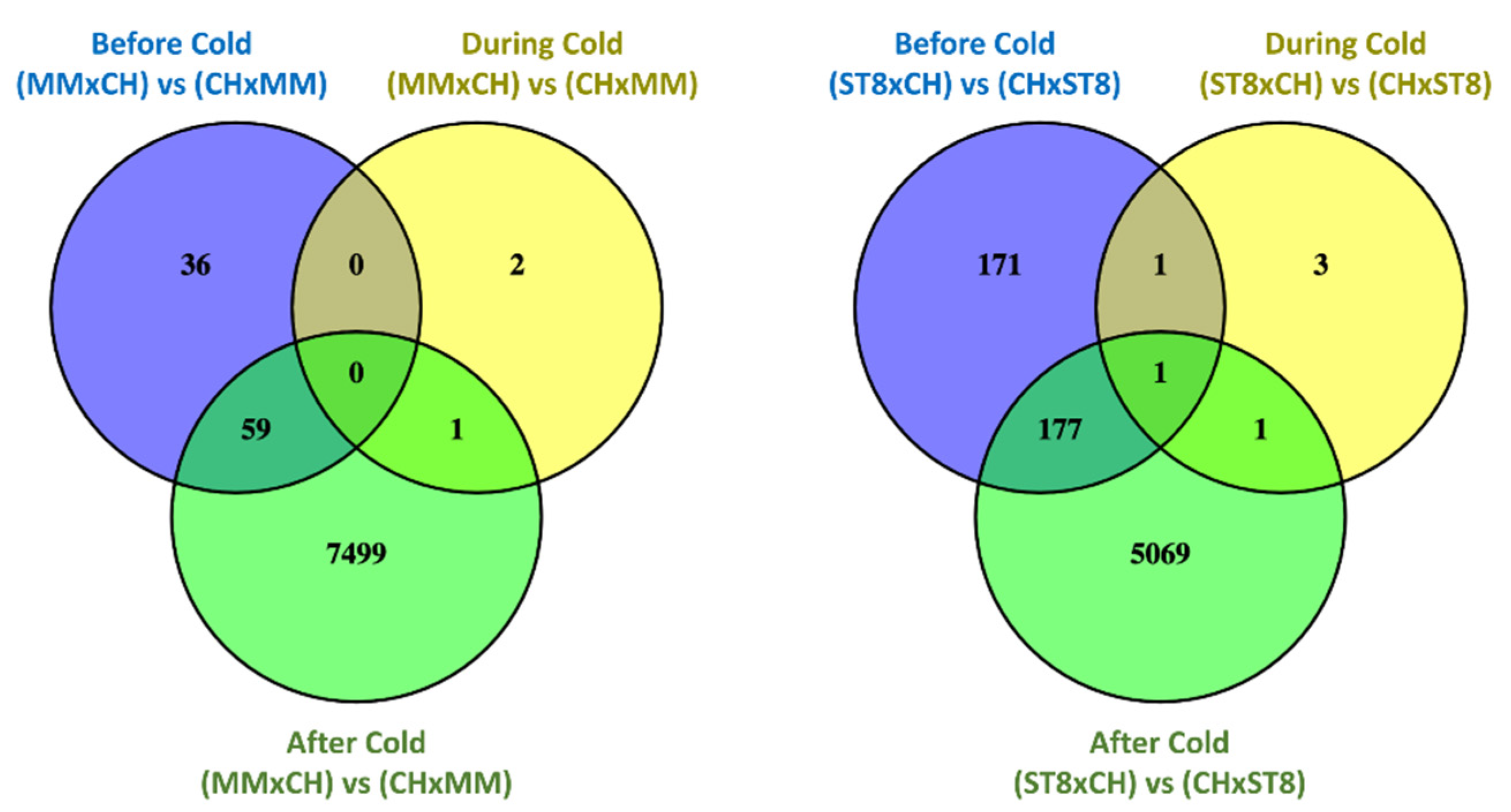 Plants 10 01092 g004 Plants 10 01092 g004
