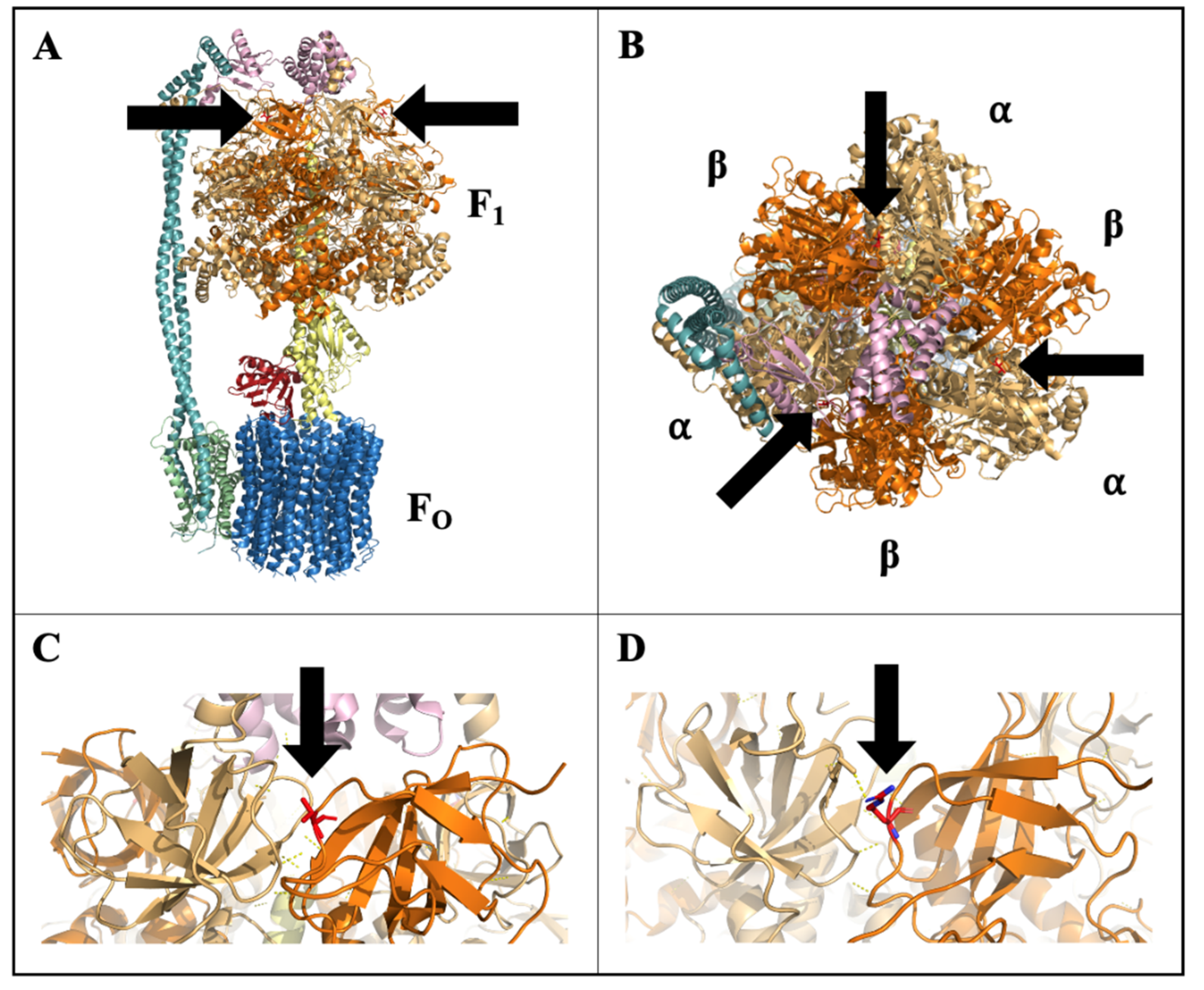 Plants 10 01092 g008 Plants 10 01092 g008