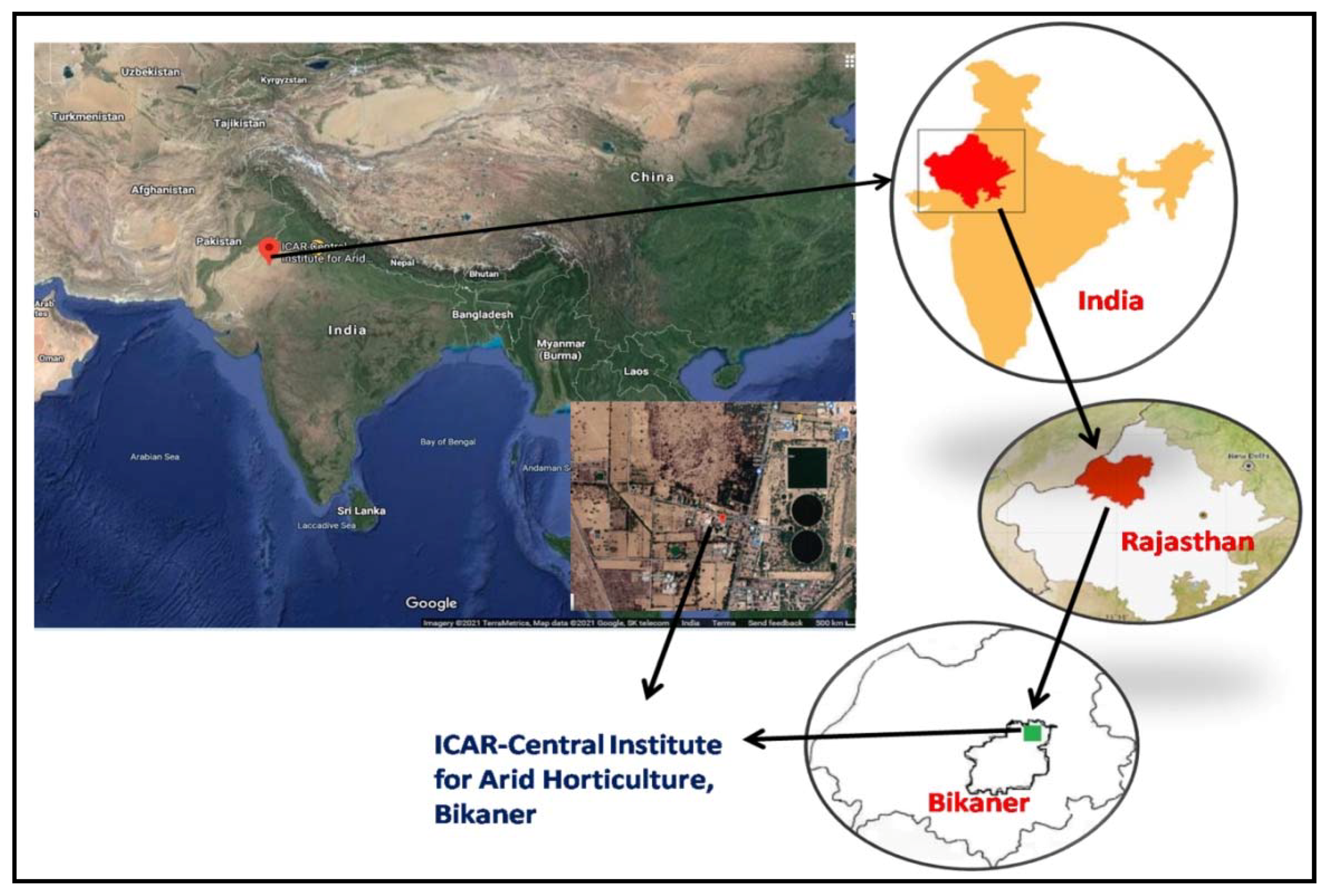 Plants 10 01156 g005 Plants 10 01156 g005