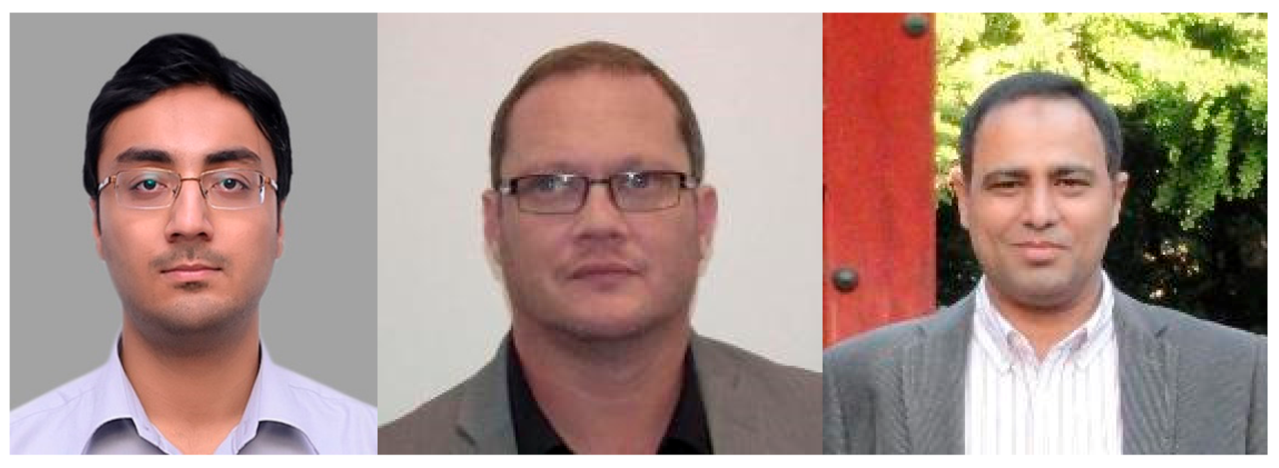 Plants 10 01173 g001