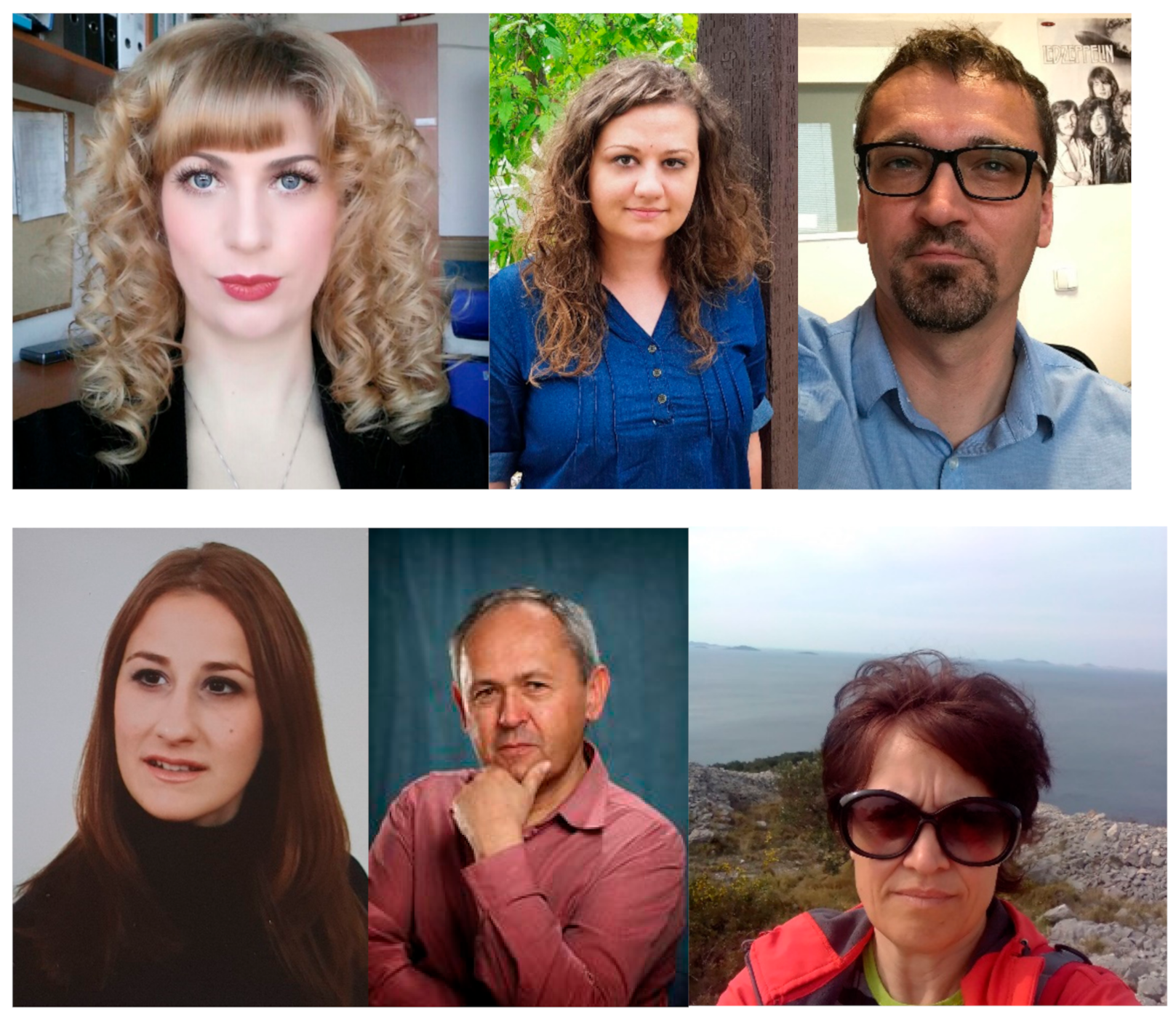 Plants 10 01173 g002