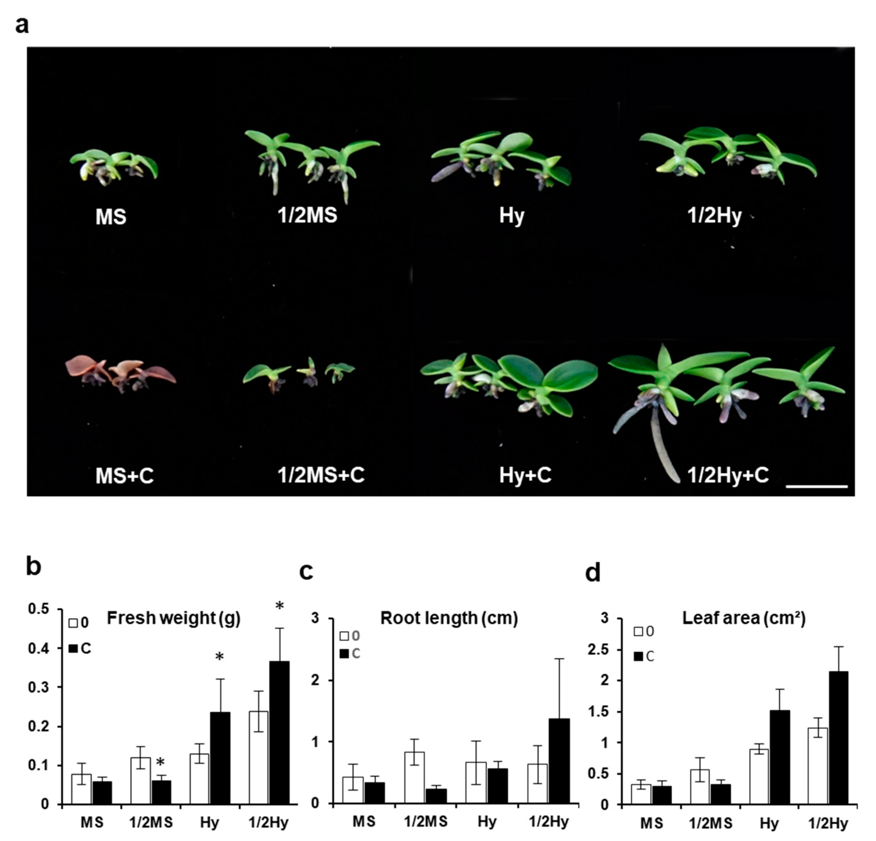 Plants 10 01193 g003 Plants 10 01193 g003