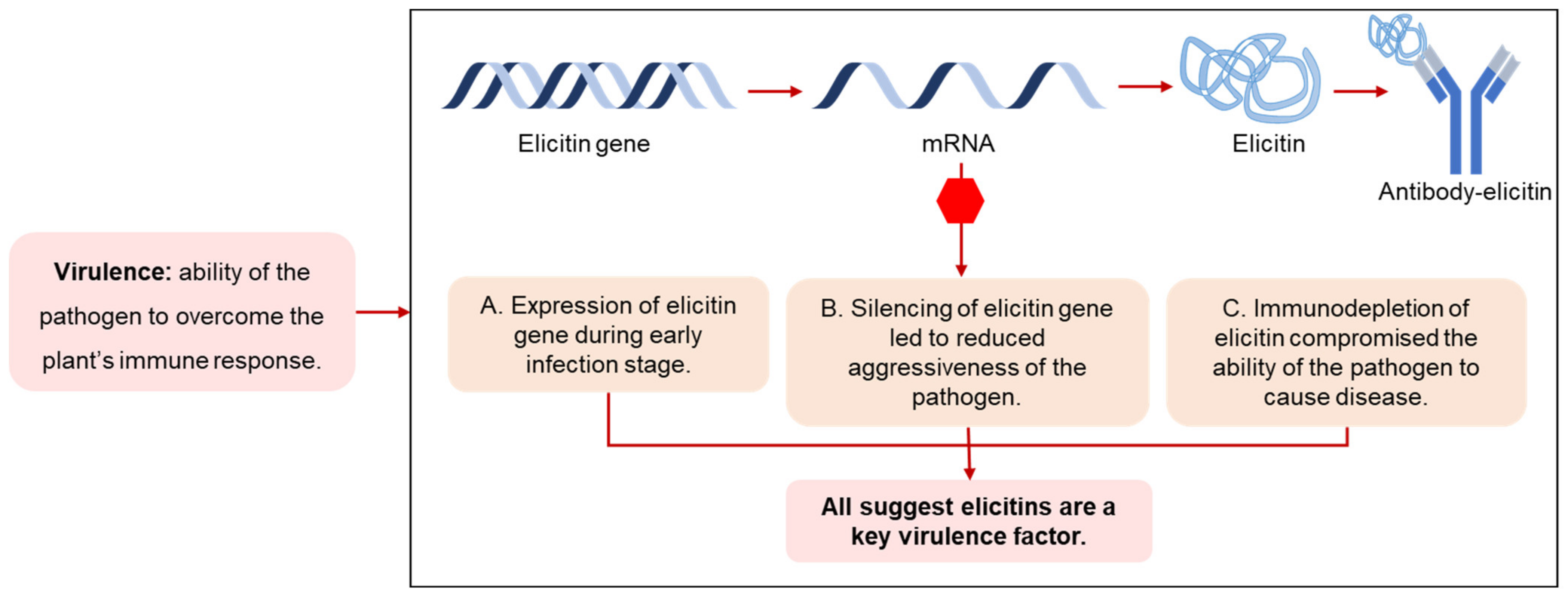 Plants 10 01201 g002