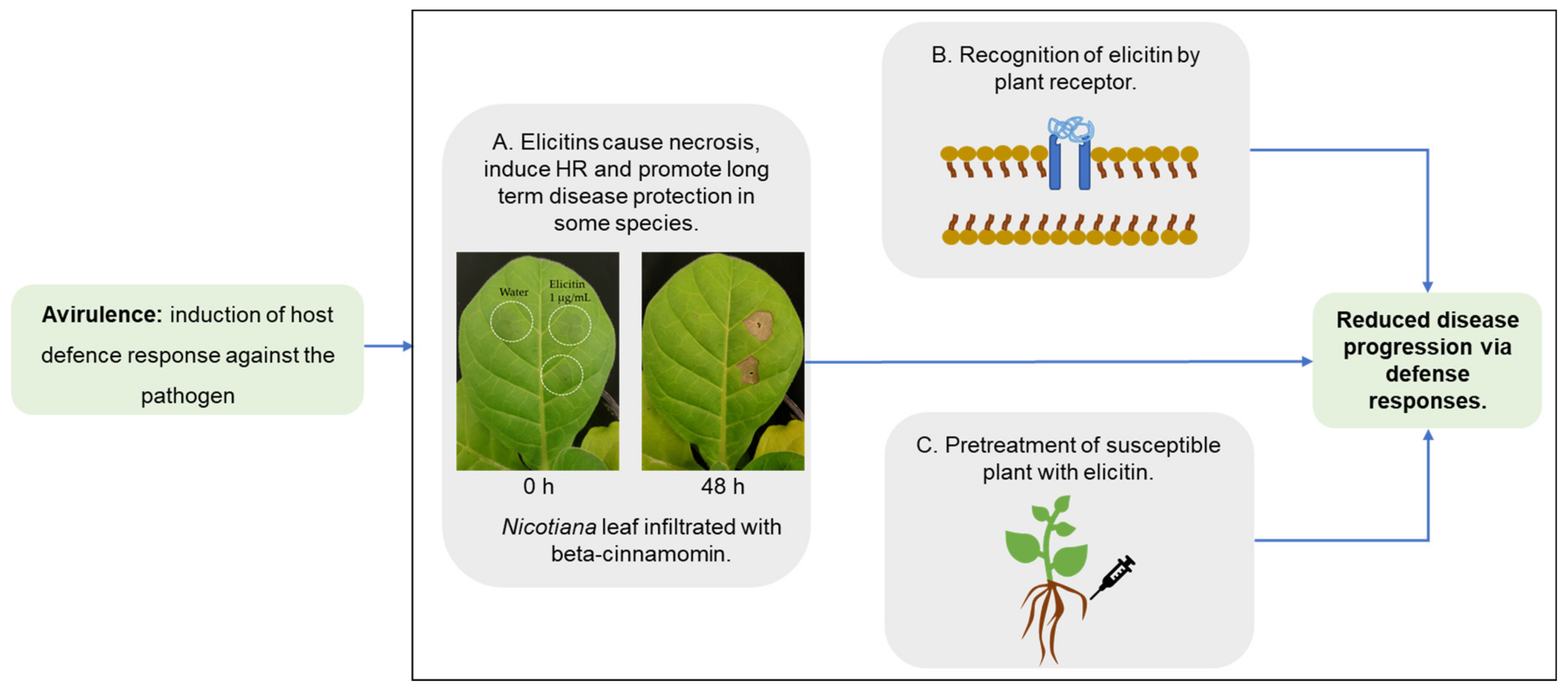 Plants 10 01201 g003