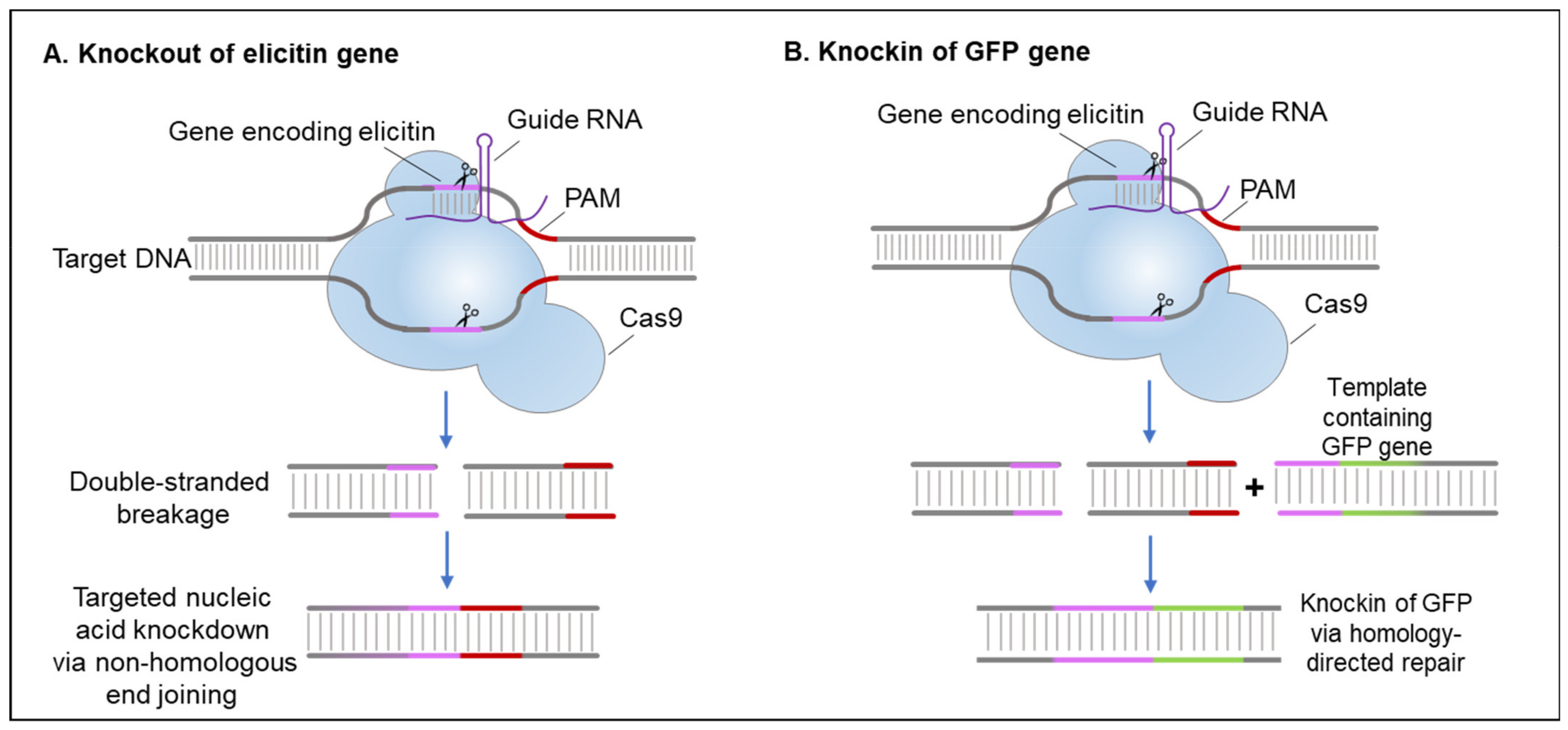 Plants 10 01201 g005