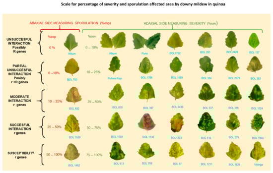 Plants 10 01228 g009