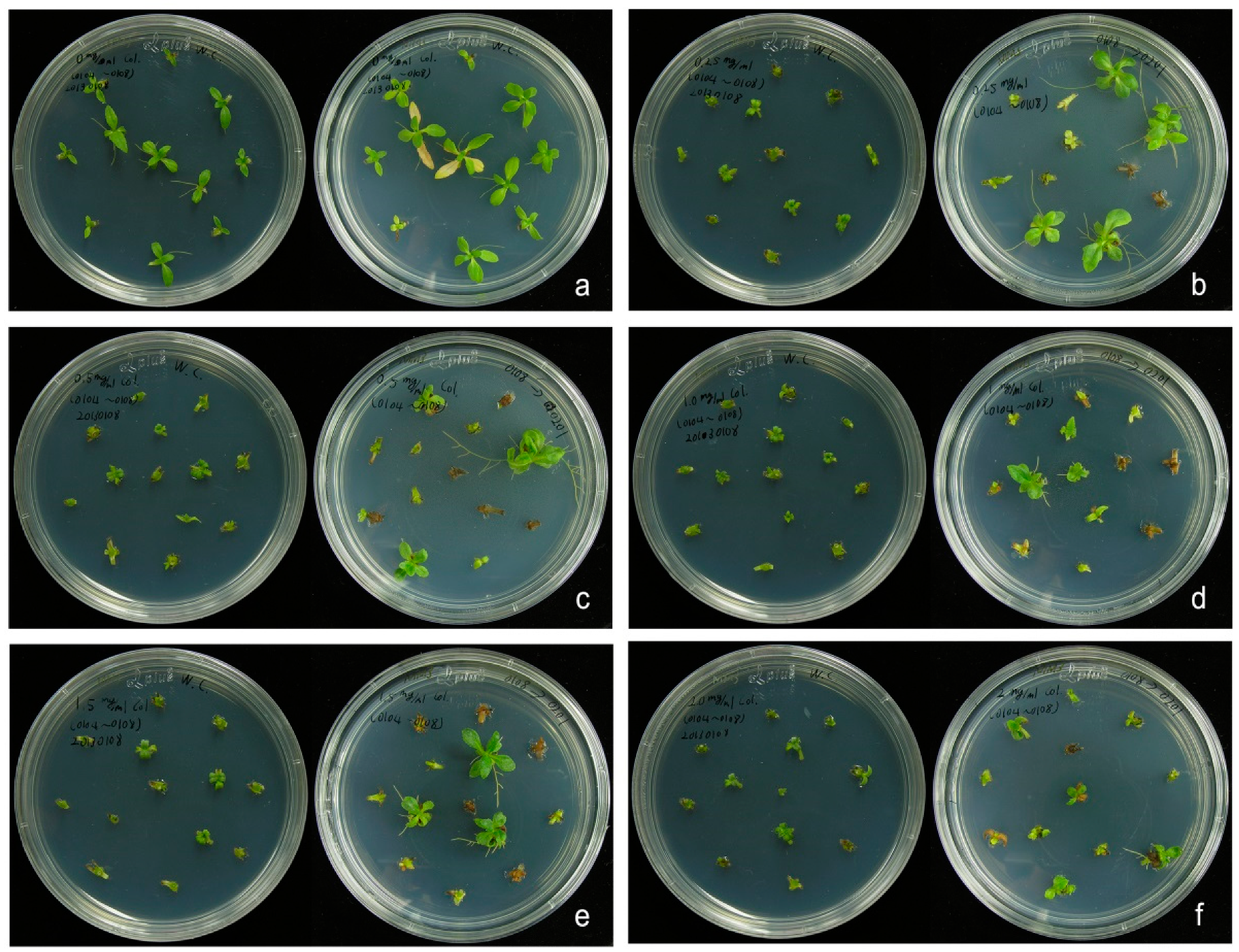 Plants 10 01232 g002 Plants 10 01232 g002