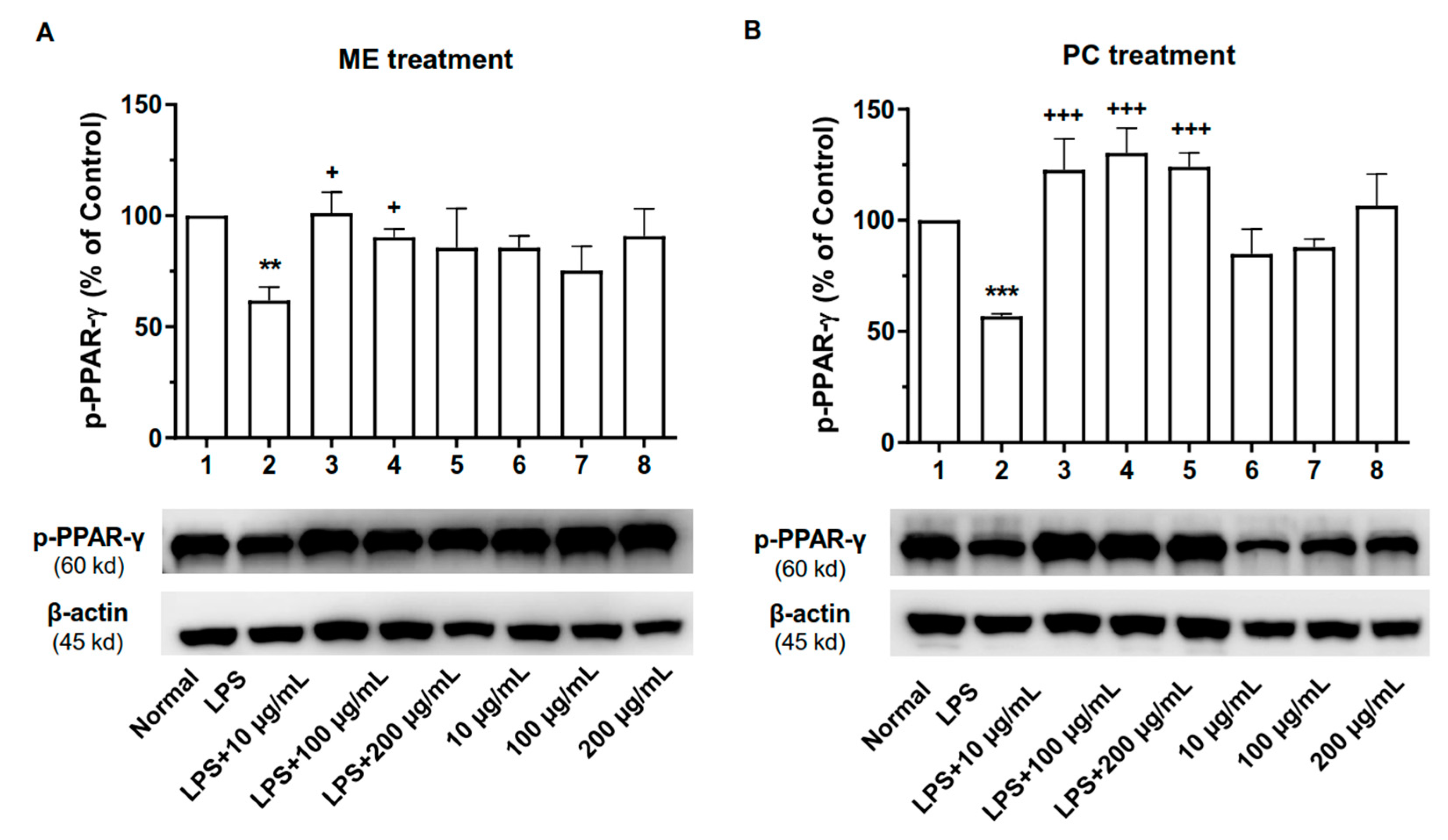 Plants 10 01234 g008