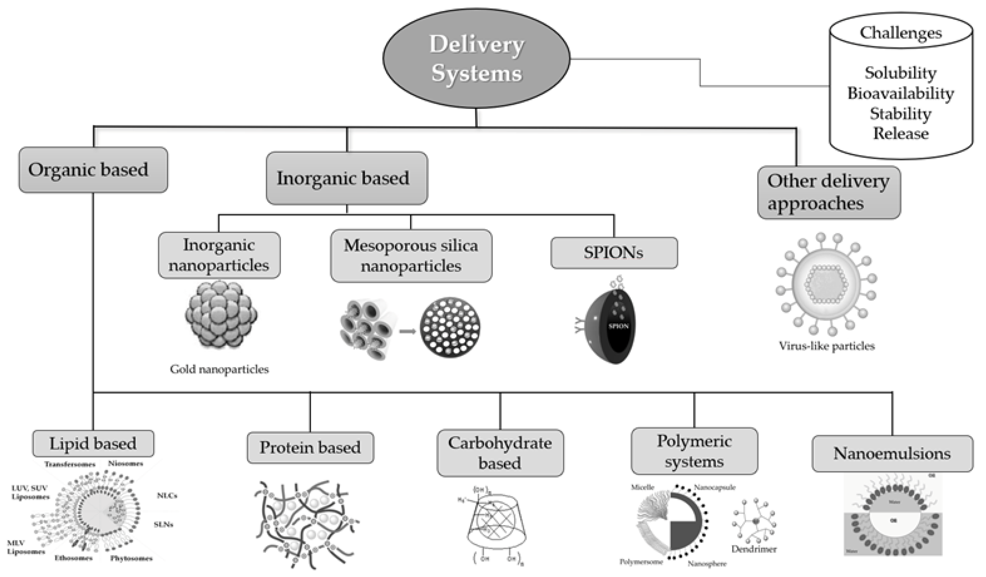 Plants 10 01238 g002 Plants 10 01238 g002