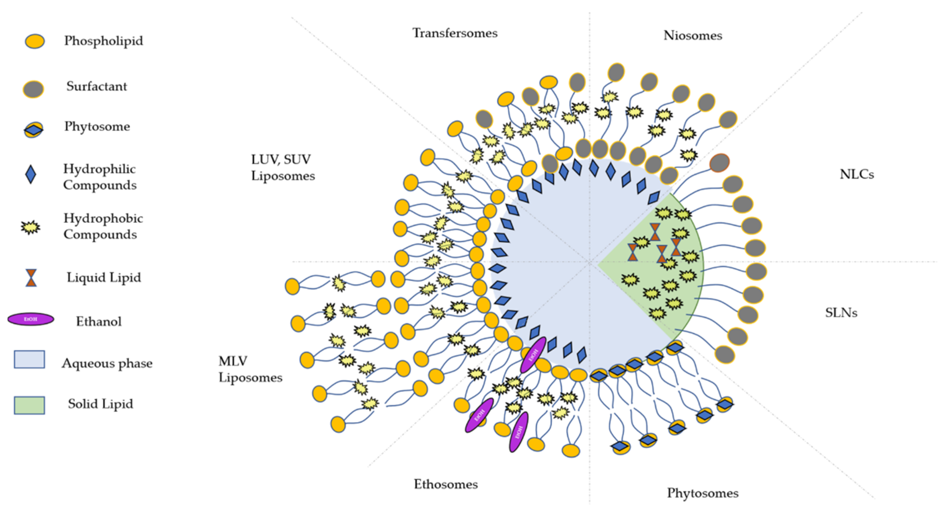 Plants 10 01238 g003 Plants 10 01238 g003