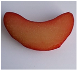 Plants 10 01244 i003