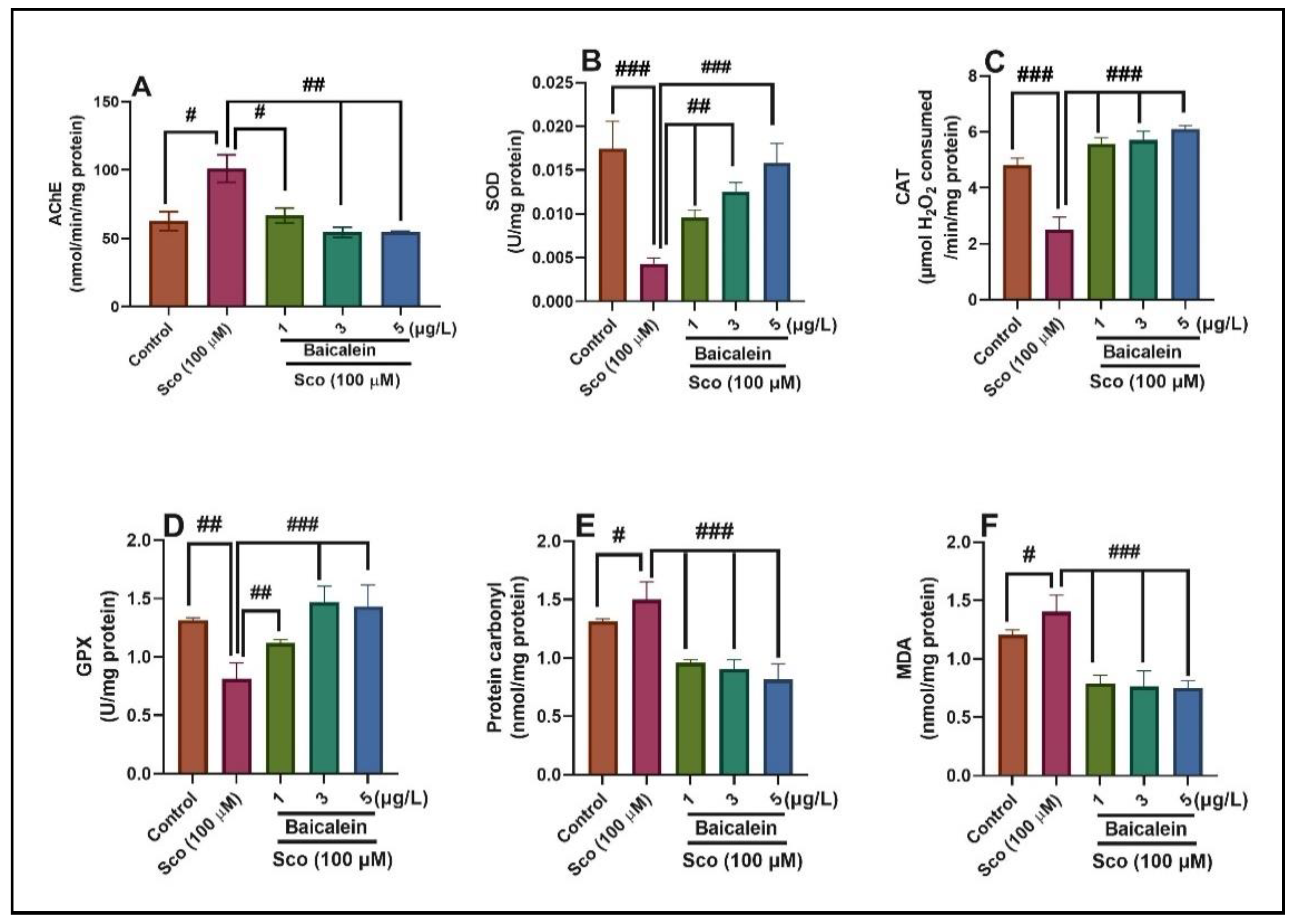 Plants 10 01245 g004