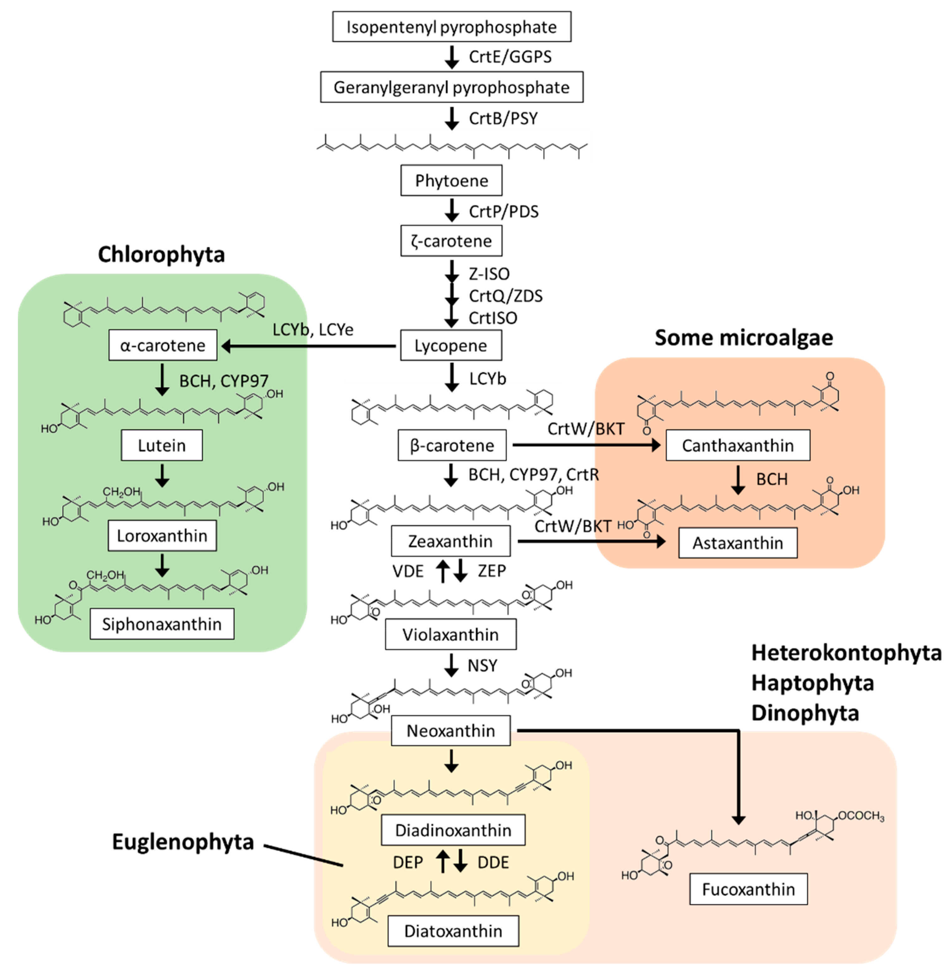 Plants 10 01250 g001 Plants 10 01250 g001
