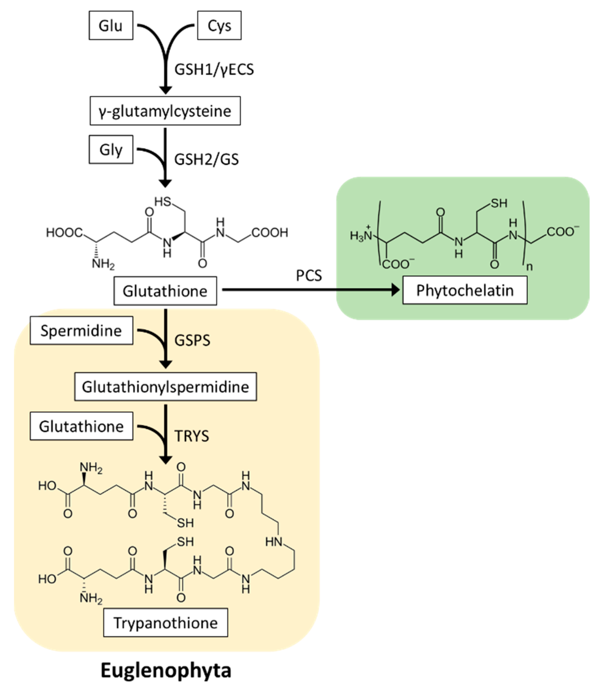 Plants 10 01250 g004 Plants 10 01250 g004