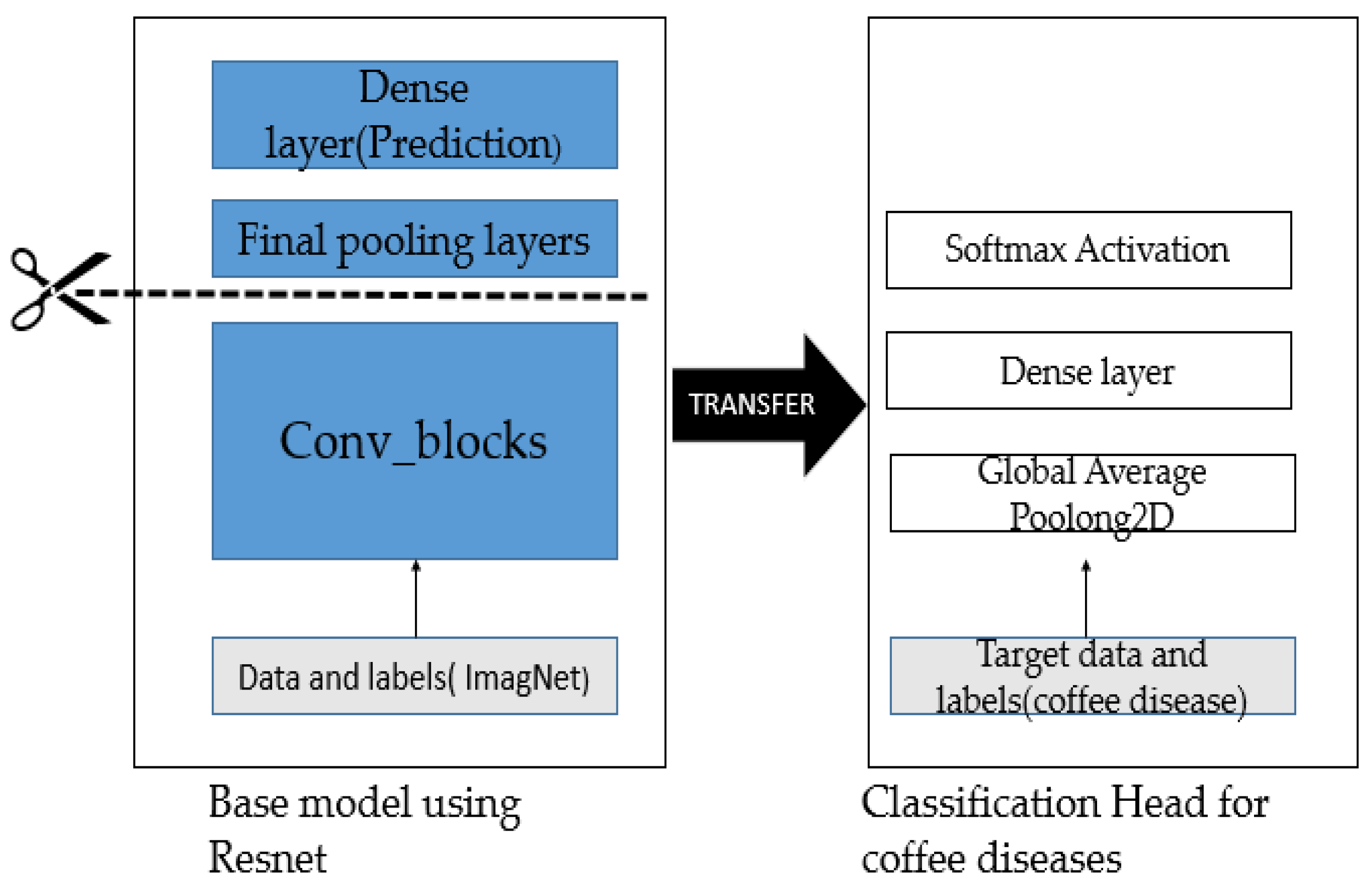 Plants 10 01257 g004