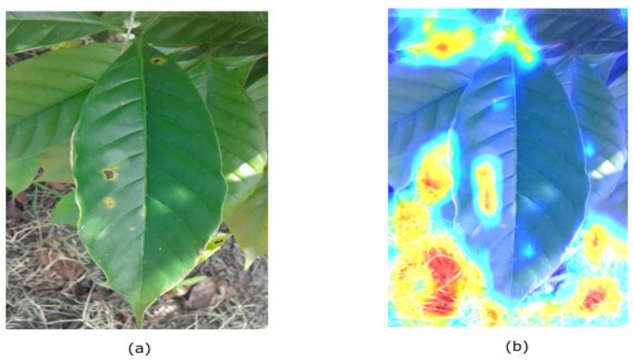 Plants 10 01257 g010